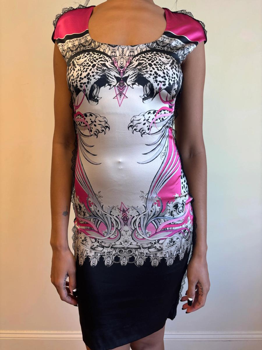 Roberto Cavalli Big Cats Dress 