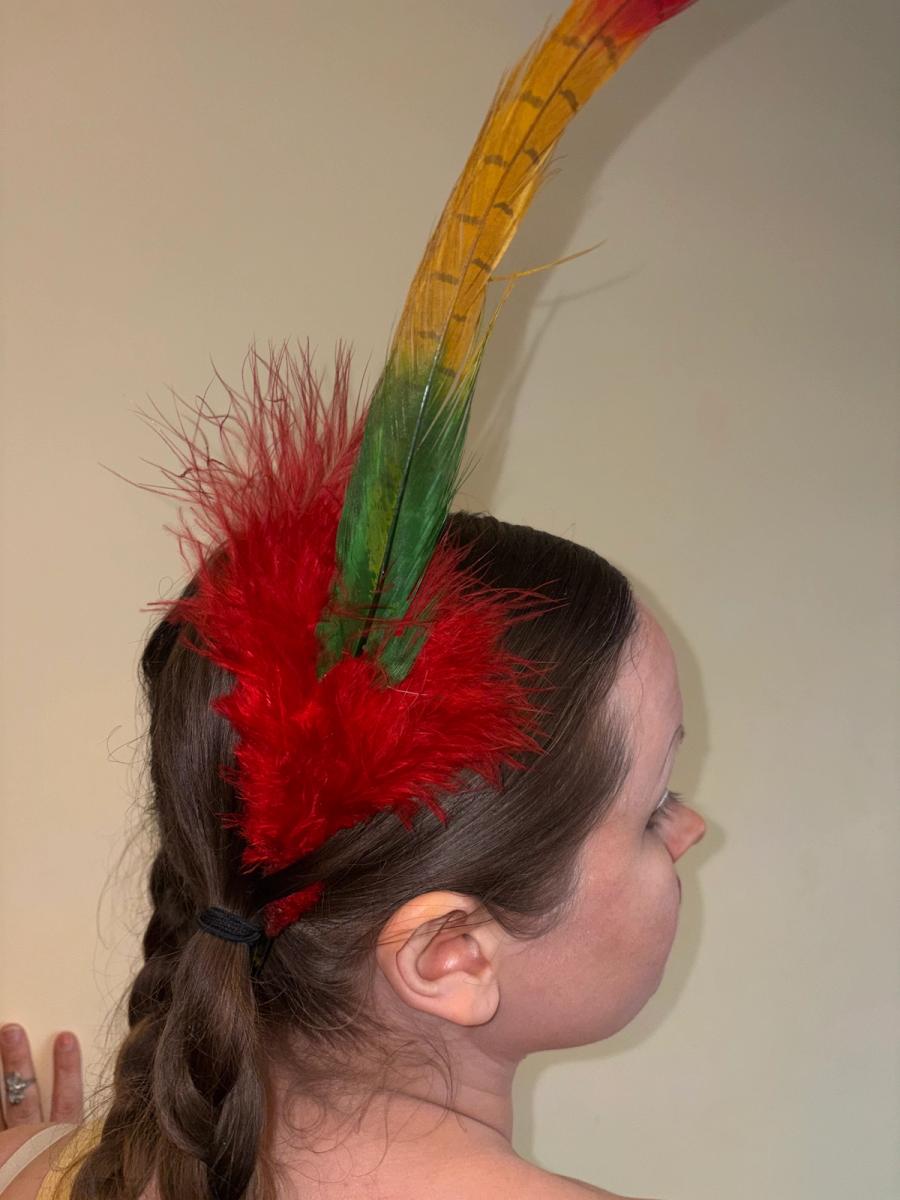 Antique Extra Long Millinery Feather product image
