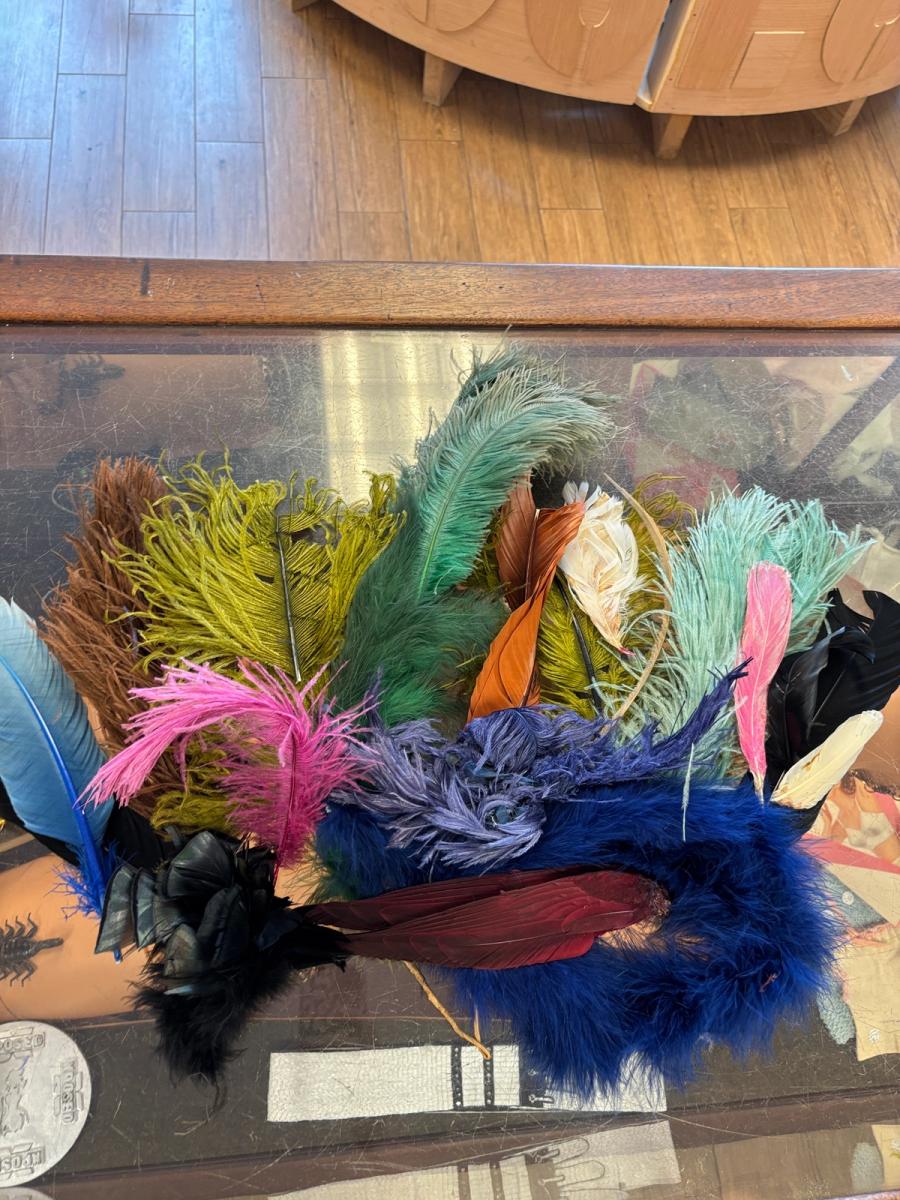 Antique Millinery Feather Lot product image