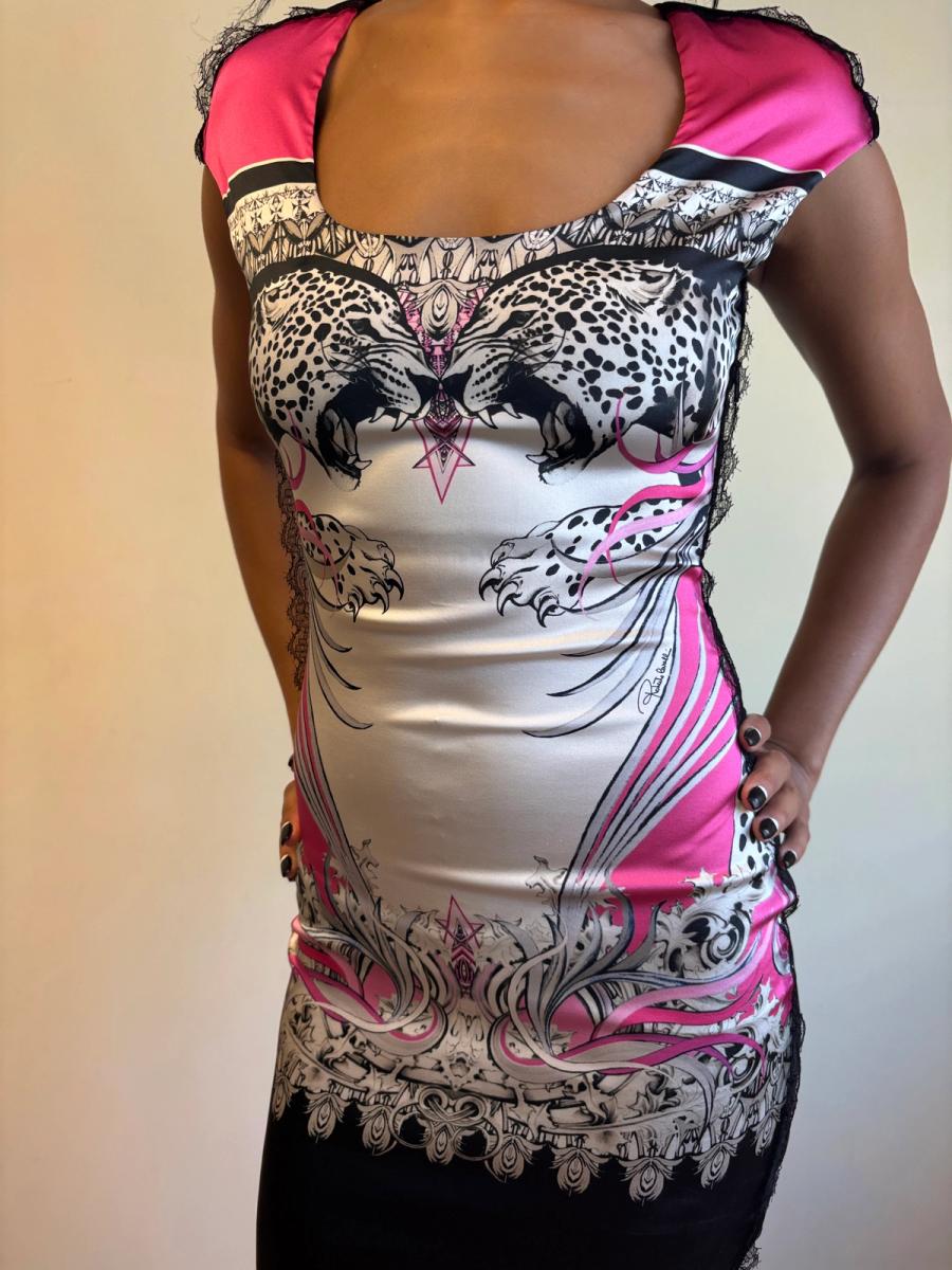 Roberto Cavalli Big Cats Dress product image