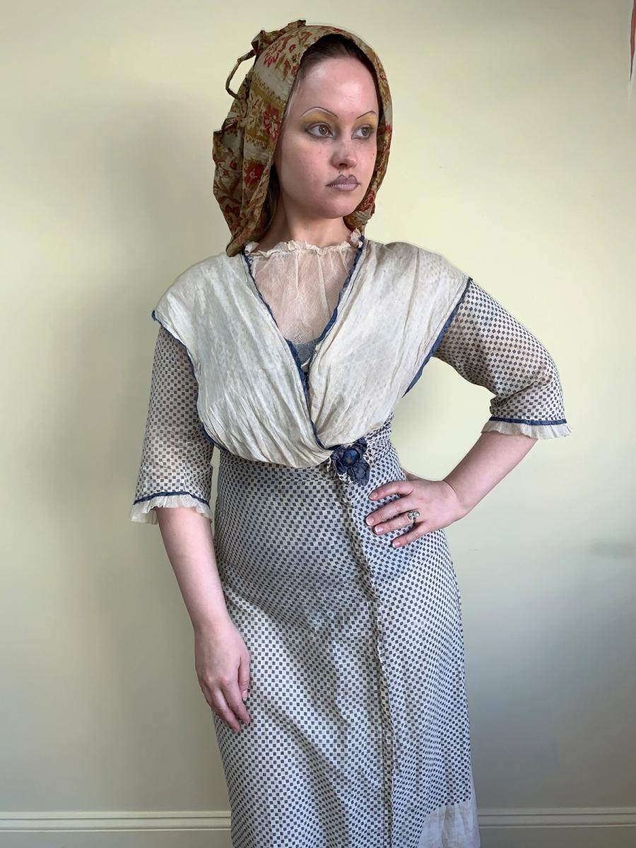 Antique Edwardian Printed Day Dress  product image