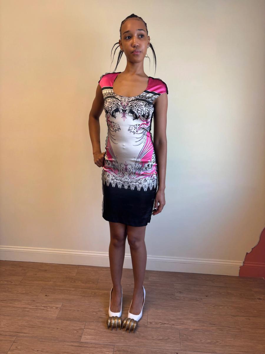 Roberto Cavalli Big Cats Dress product image