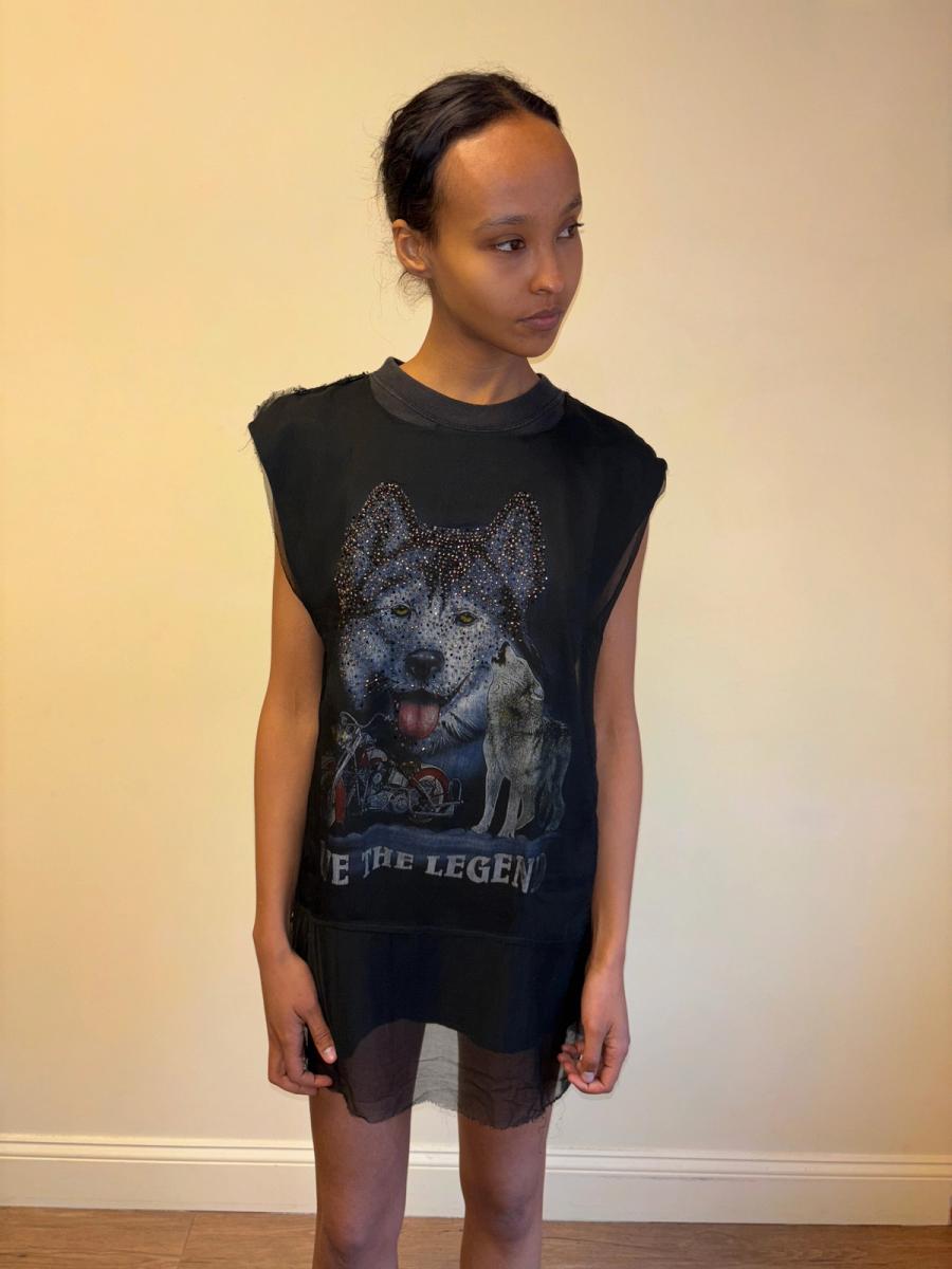 DryCleanOnly Beaded Wolf Dress product image