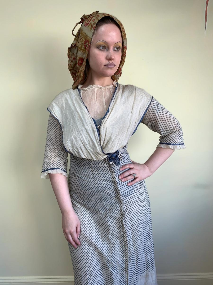 Antique Edwardian Printed Day Dress product image