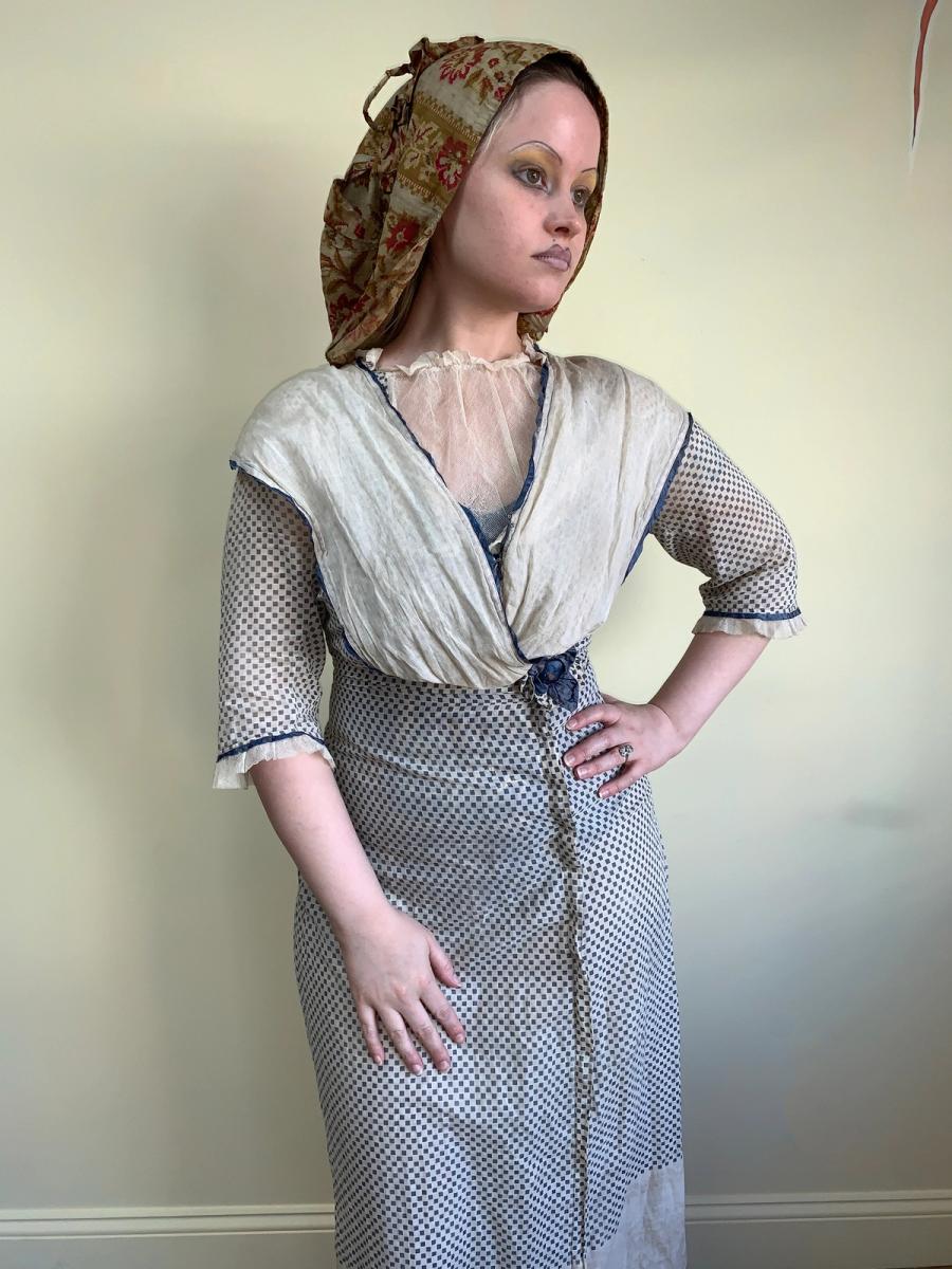Antique Edwardian Printed Day Dress product image