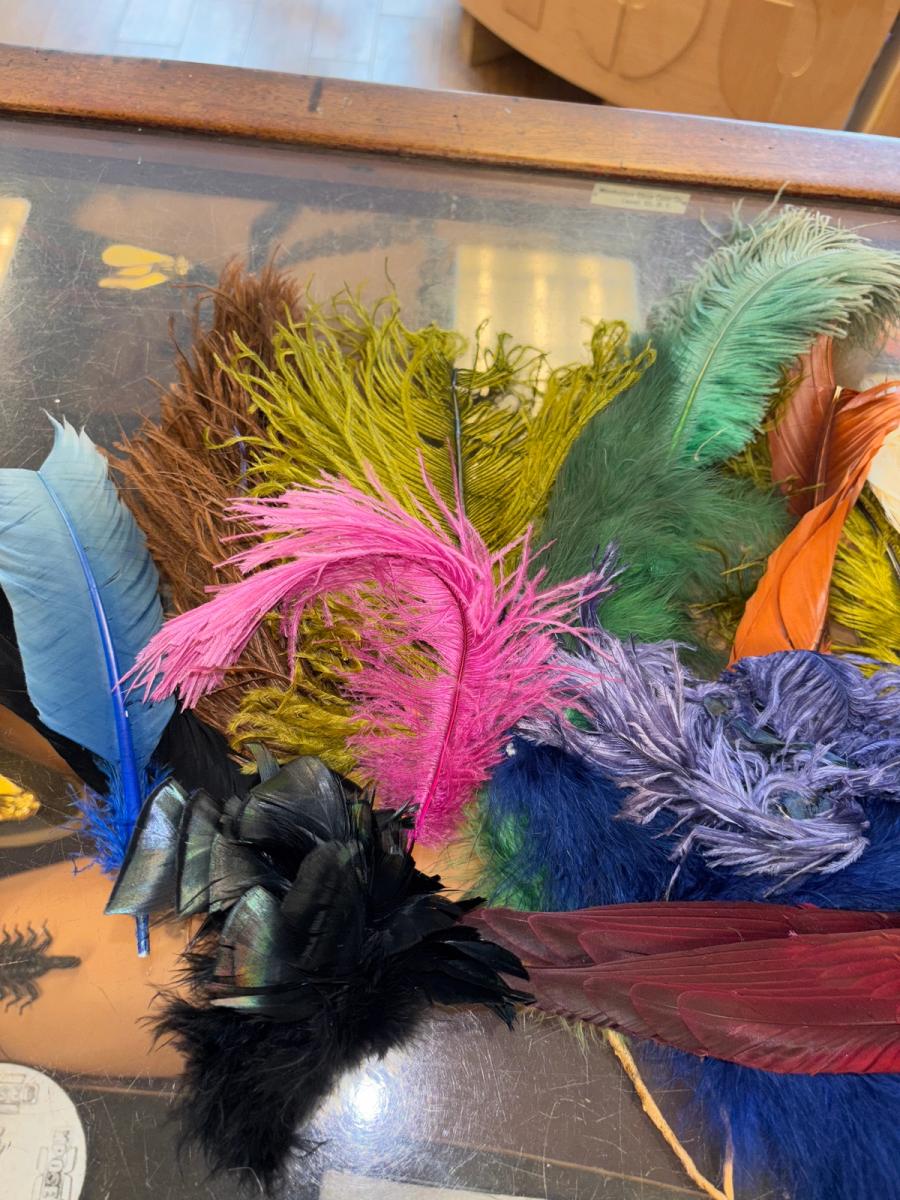 Antique Millinery Feather Lot product image