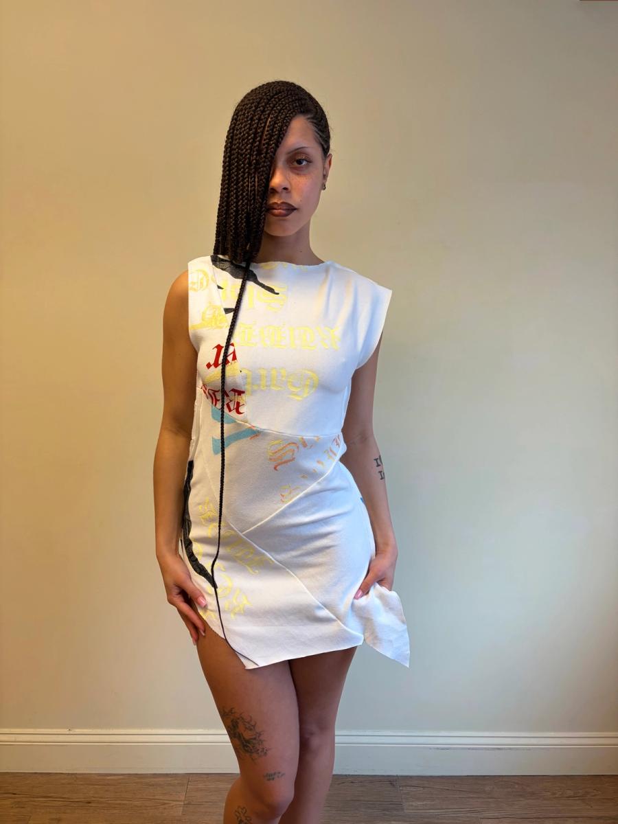 Enfer Rainbow Zebra Minidress product image