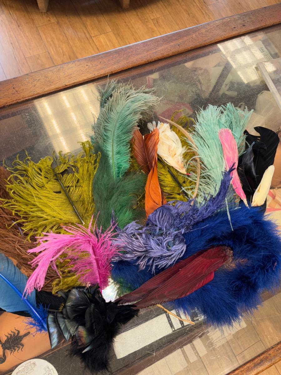 Antique Millinery Feather Lot product image