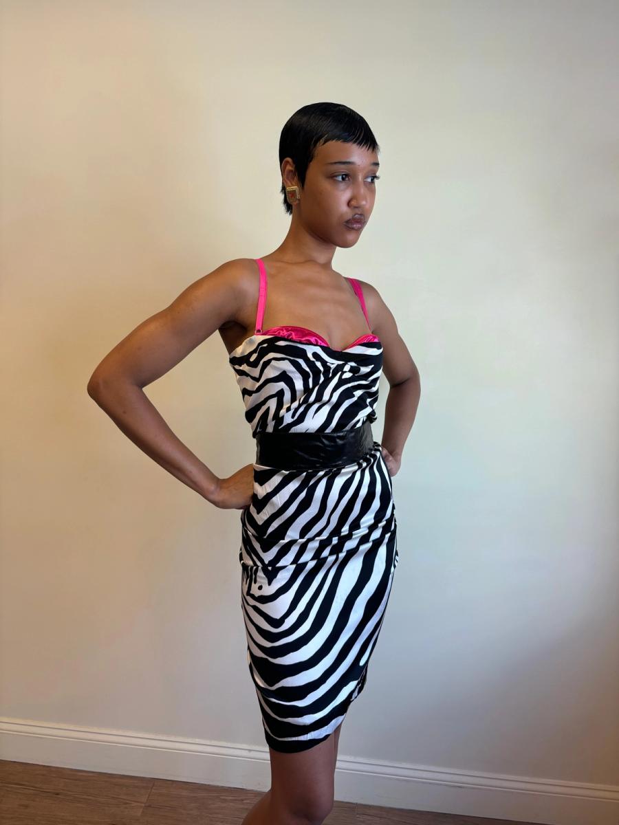 2000s D&G Zebra Print Exposed Bra Dress with Shawl product image
