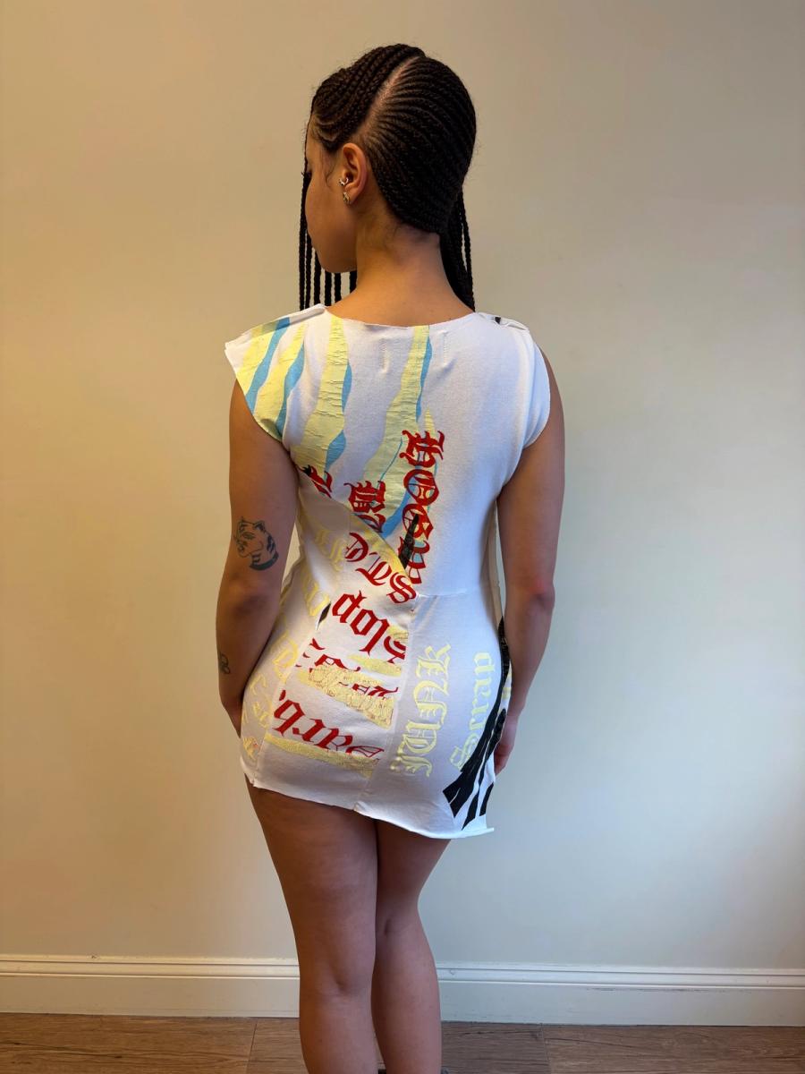 Enfer Rainbow Zebra Minidress product image