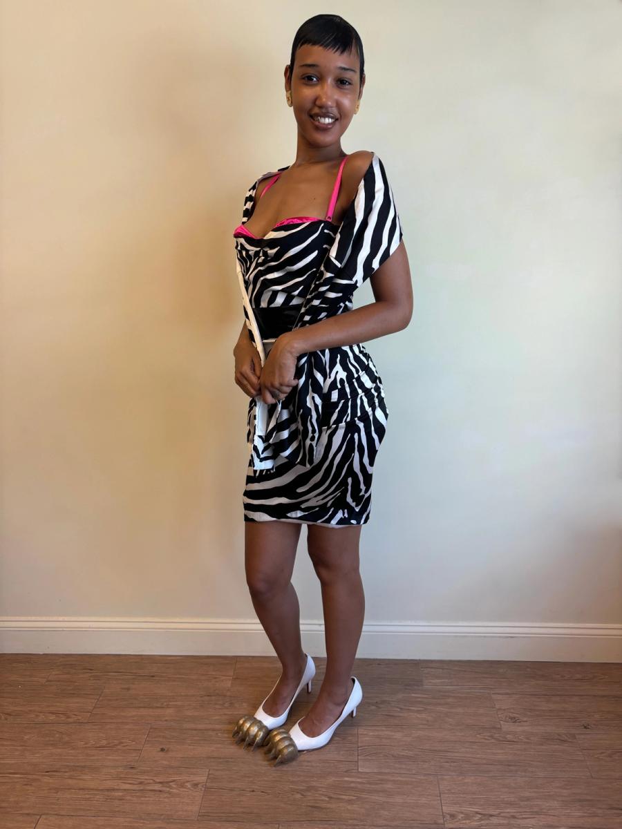 2000s D&G Zebra Print Exposed Bra Dress with Shawl product image