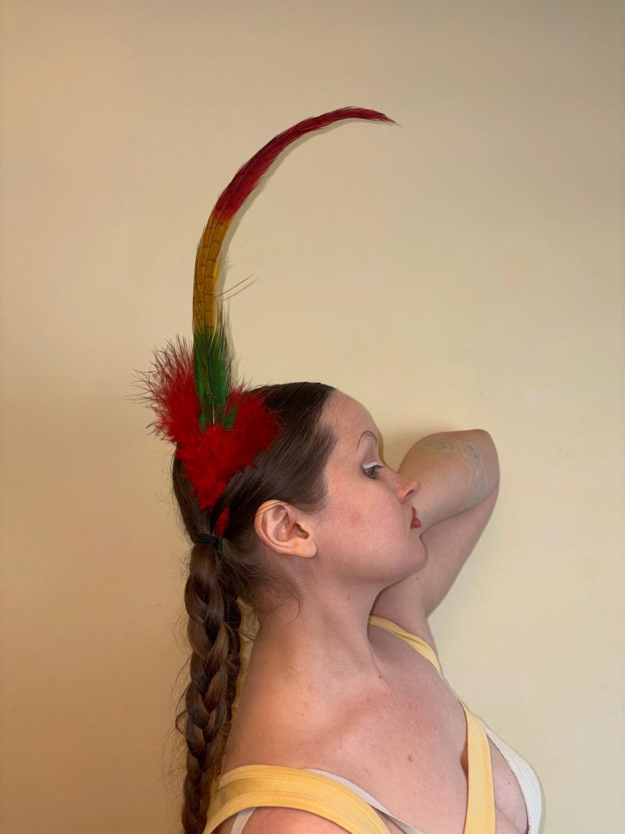 Antique Extra Long Millinery Feather product image
