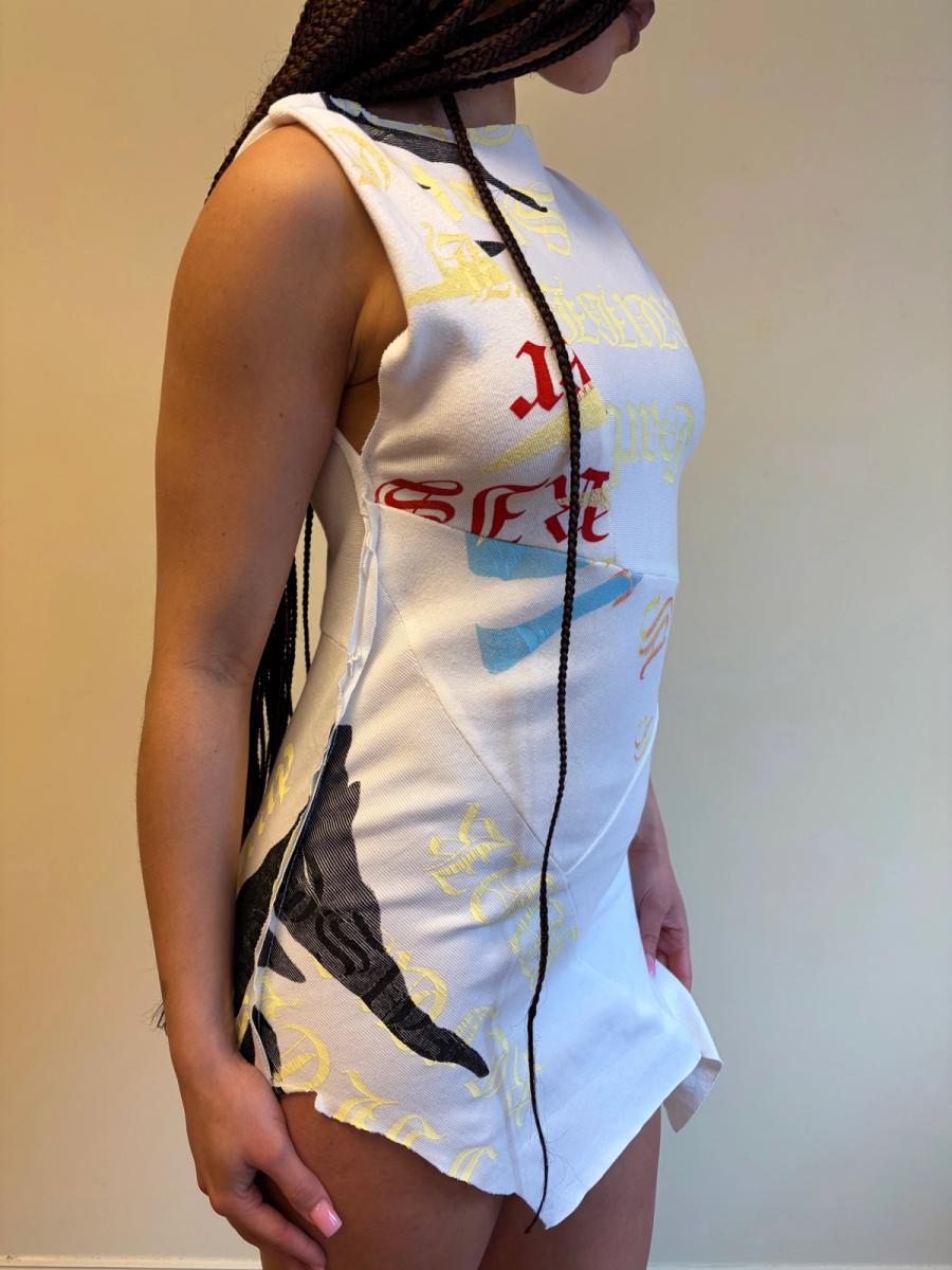 Enfer Rainbow Zebra Minidress product image