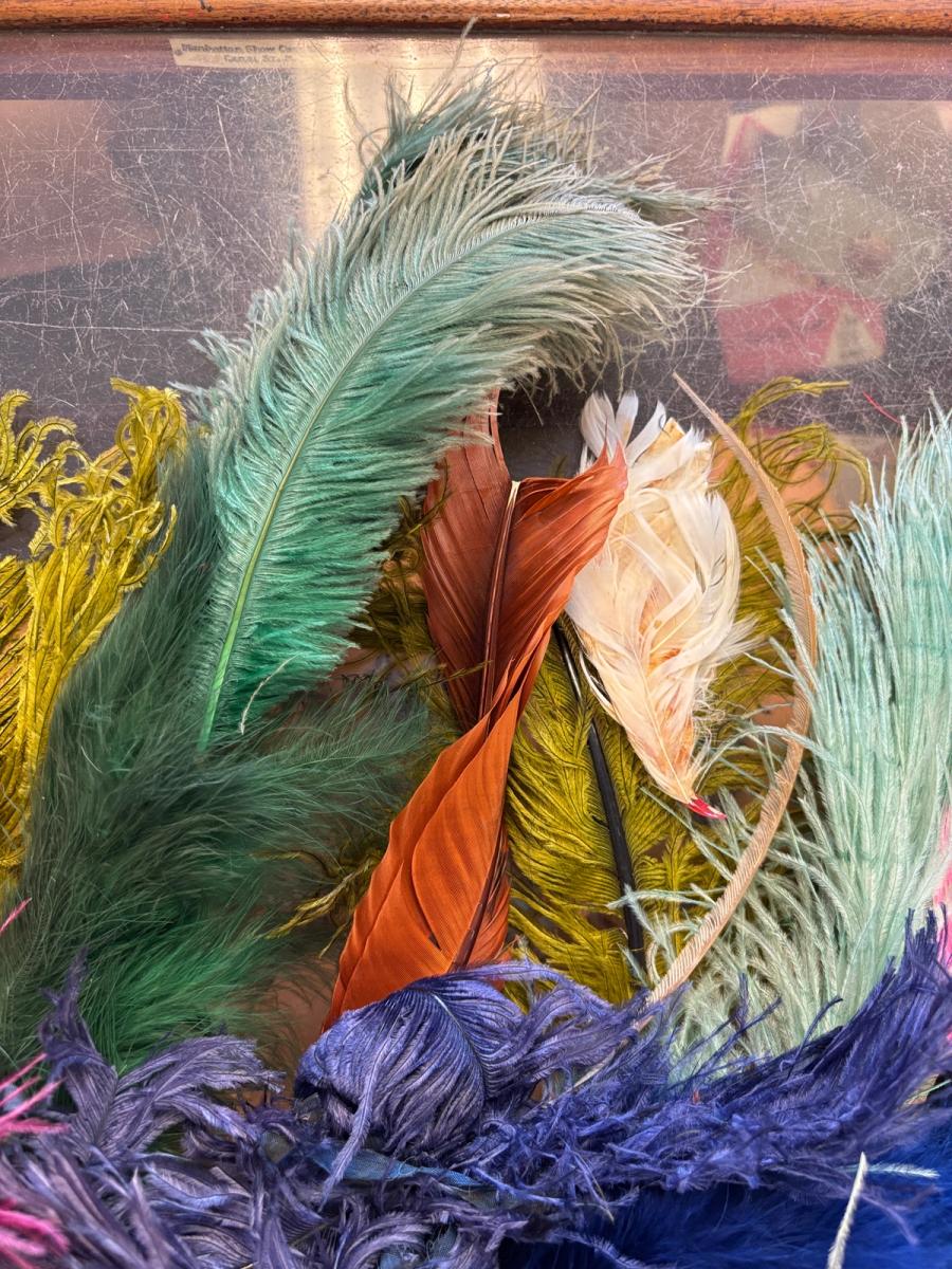 Antique Millinery Feather Lot product image
