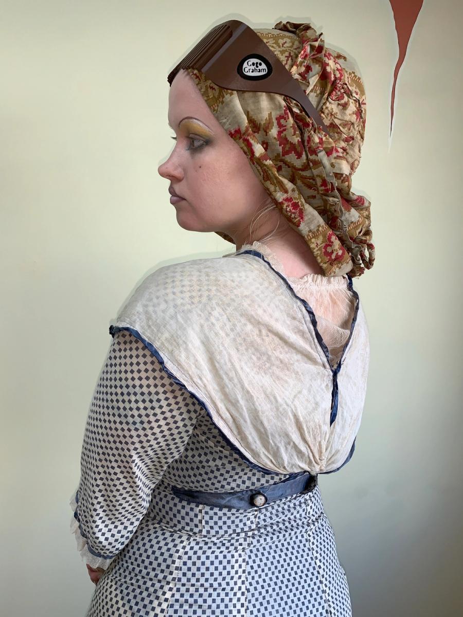 Antique Edwardian Printed Day Dress product image