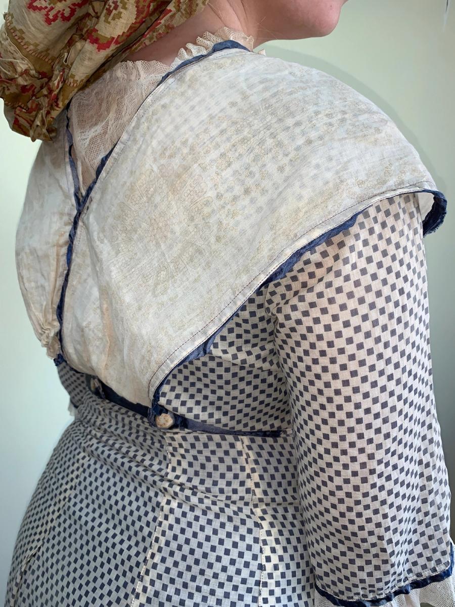 Antique Edwardian Printed Day Dress product image