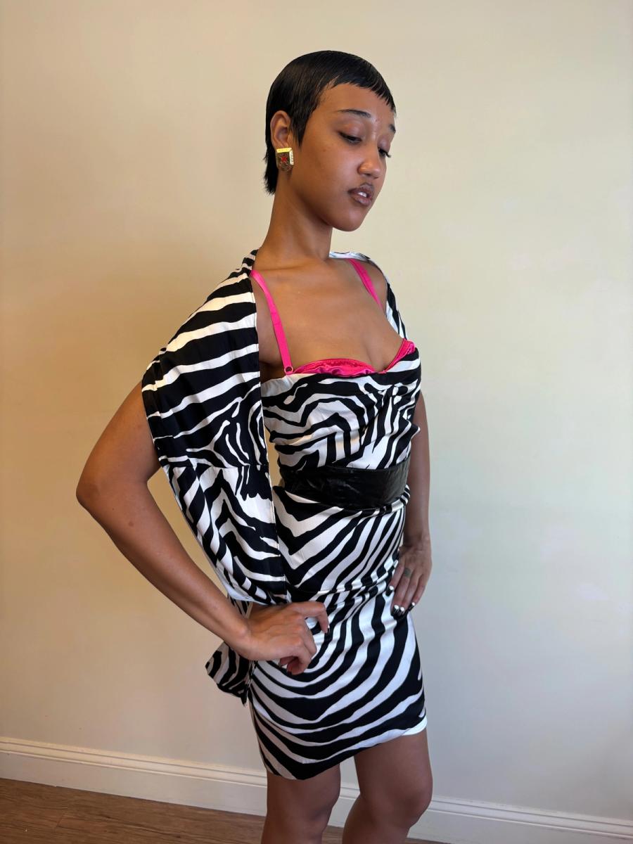 2000s D&G Zebra Print Exposed Bra Dress with Shawl product image