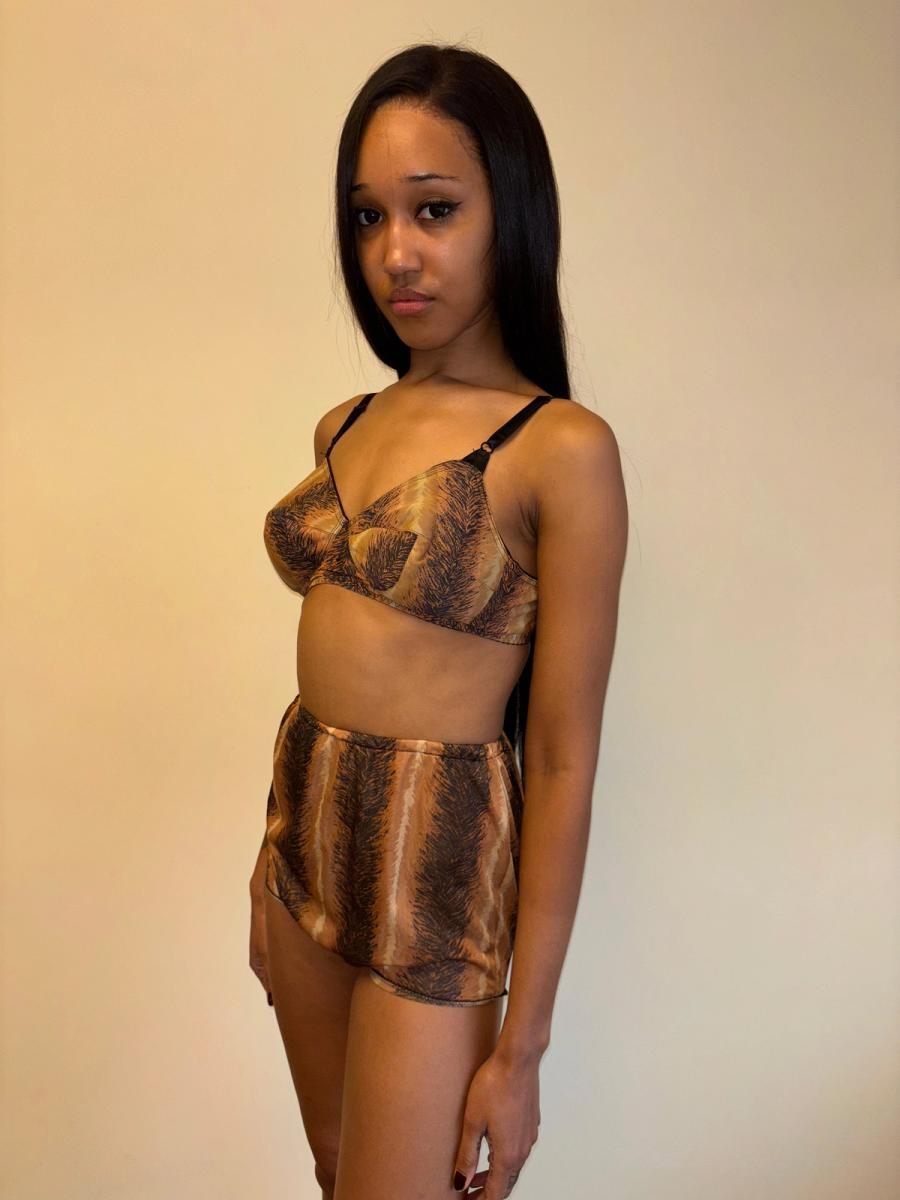 60s or 70s Four Piece Tiger Print Lingerie Set product image