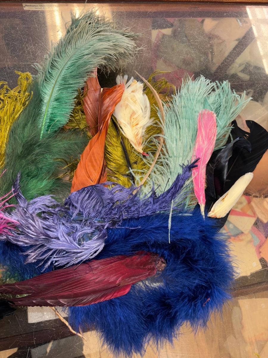 Antique Millinery Feather Lot product image