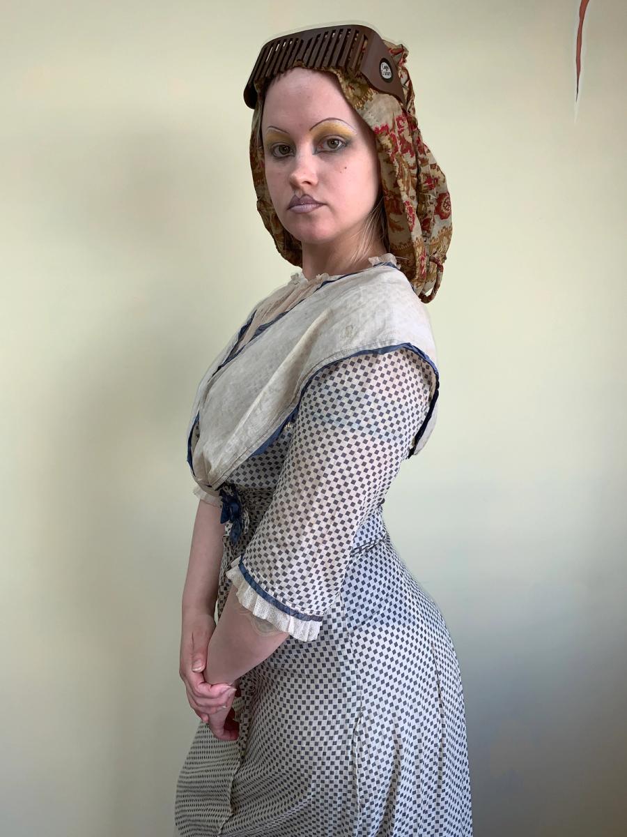 Antique Edwardian Printed Day Dress product image