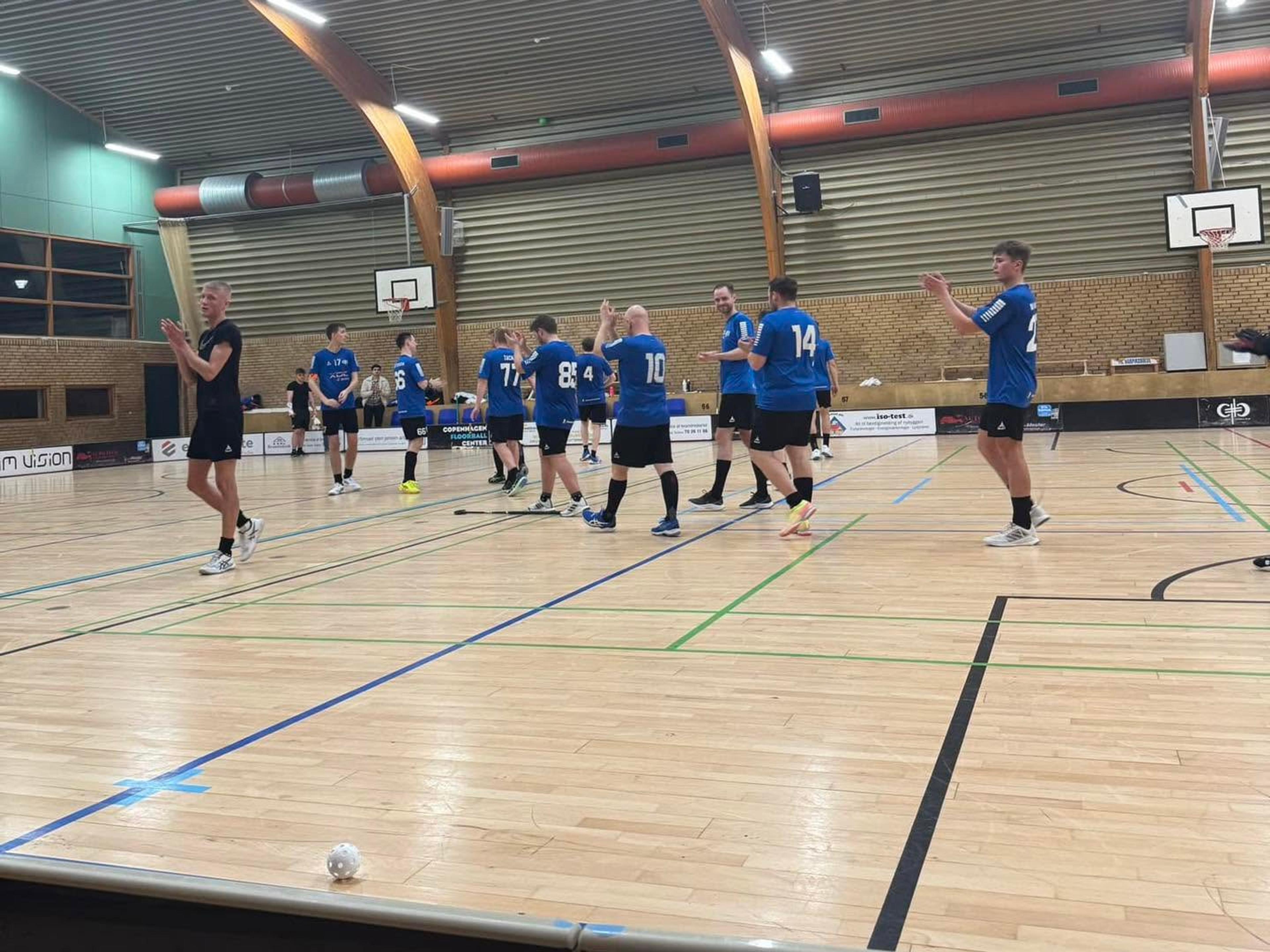 Herrespillere jubler efter et mål