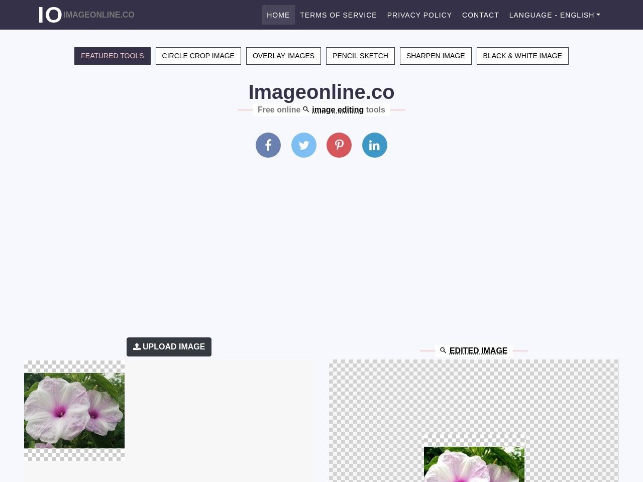 Image for imageonline