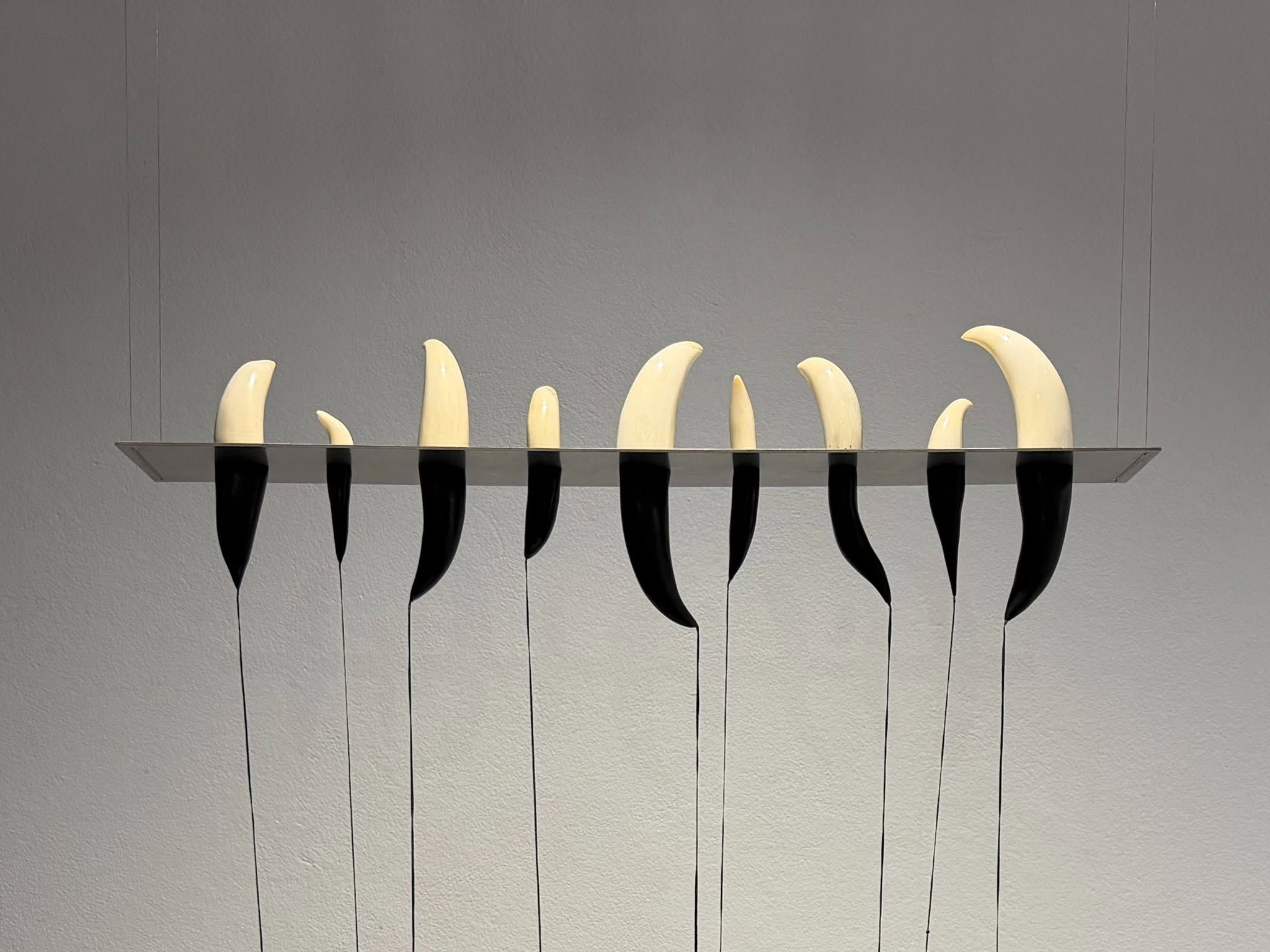 Boneyard Exhibition