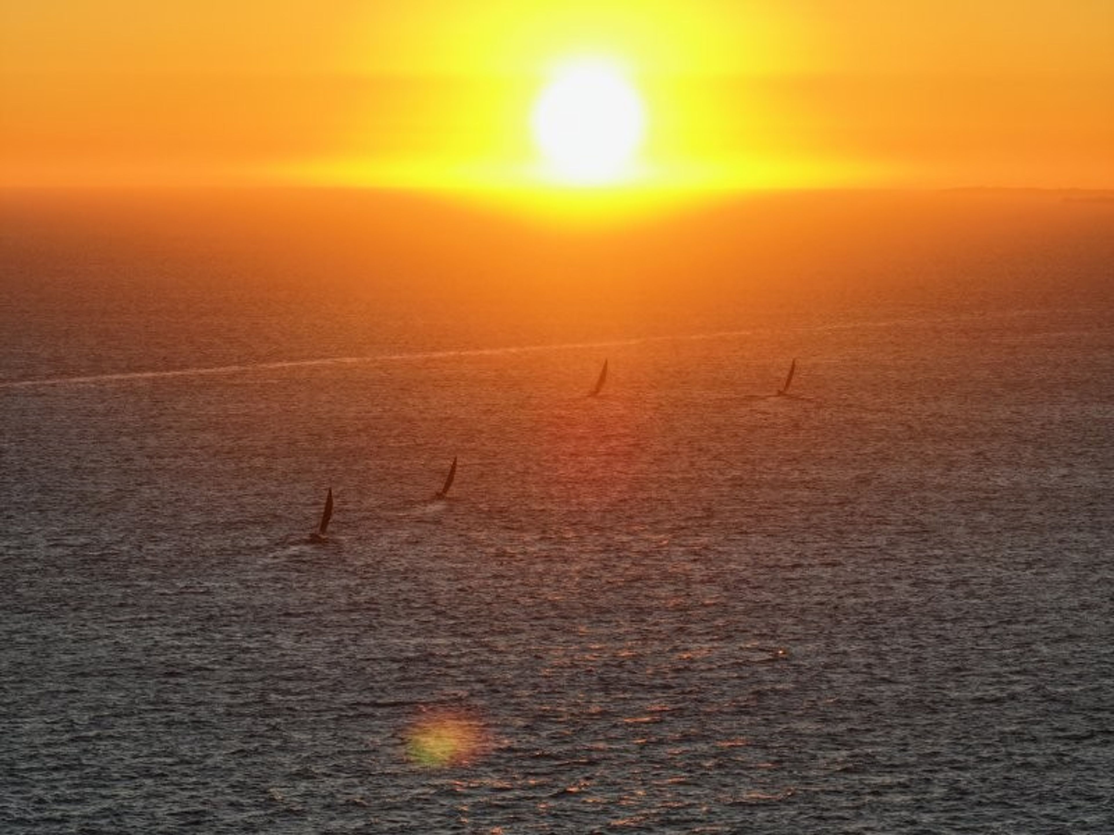 Yachts race towards the sunset