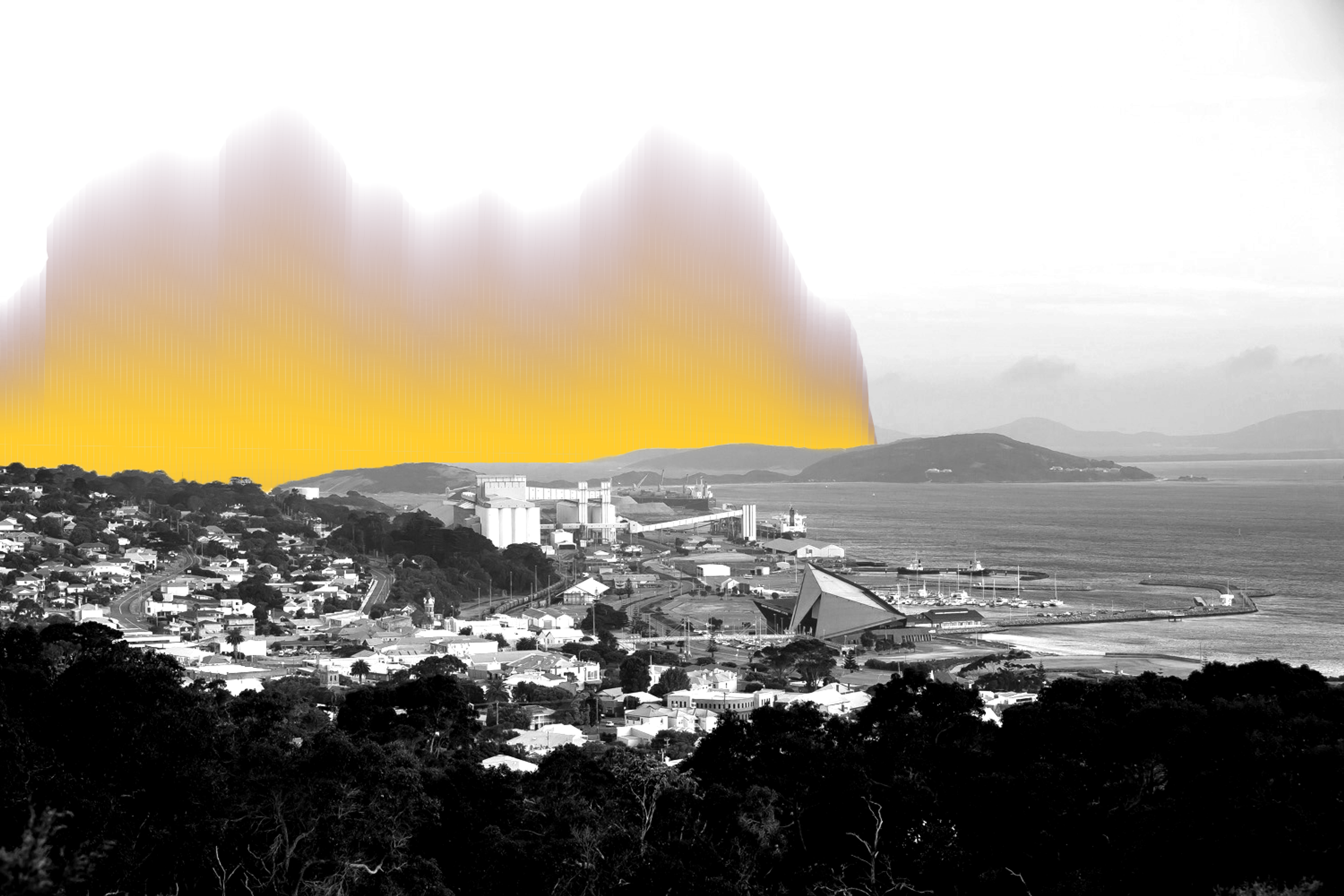 black and white landscape image of central Albany and harbour, with audio levels rising from the horizon