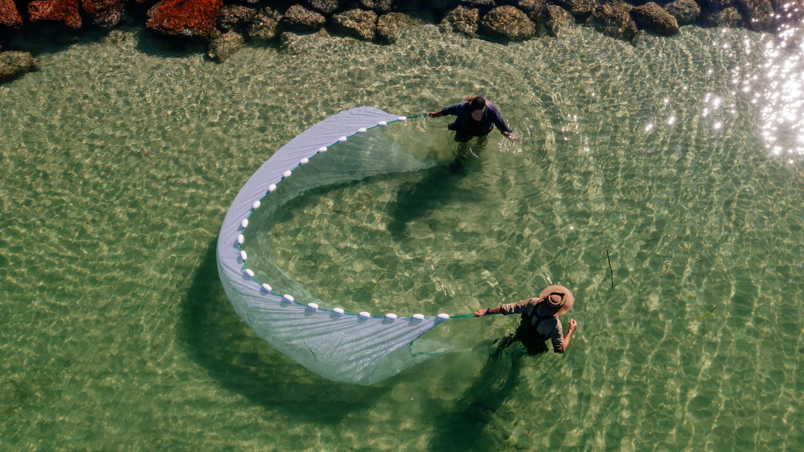 A photo of two people standing in water holding a large net.