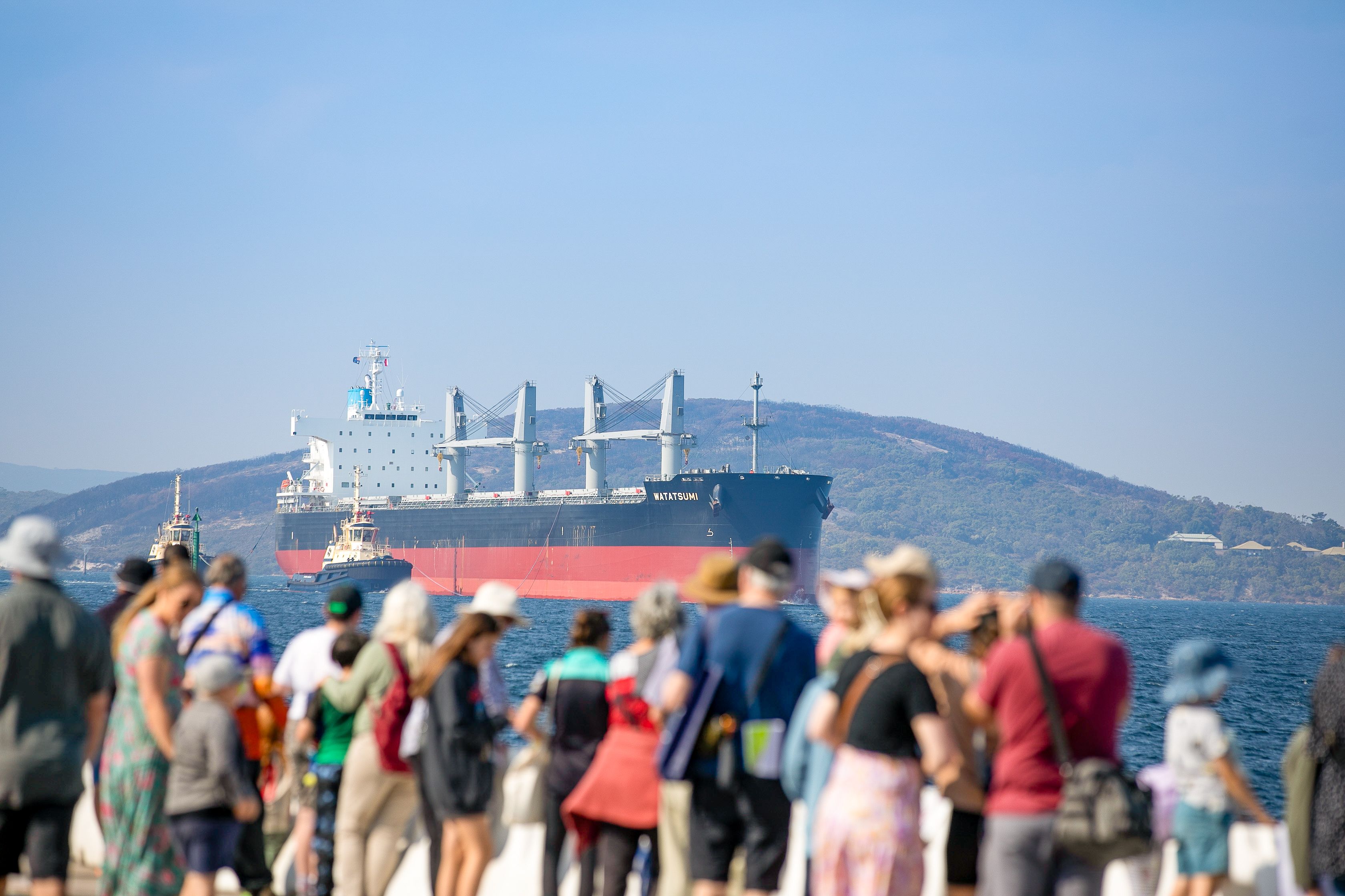 Crowd watches a large ship come into port