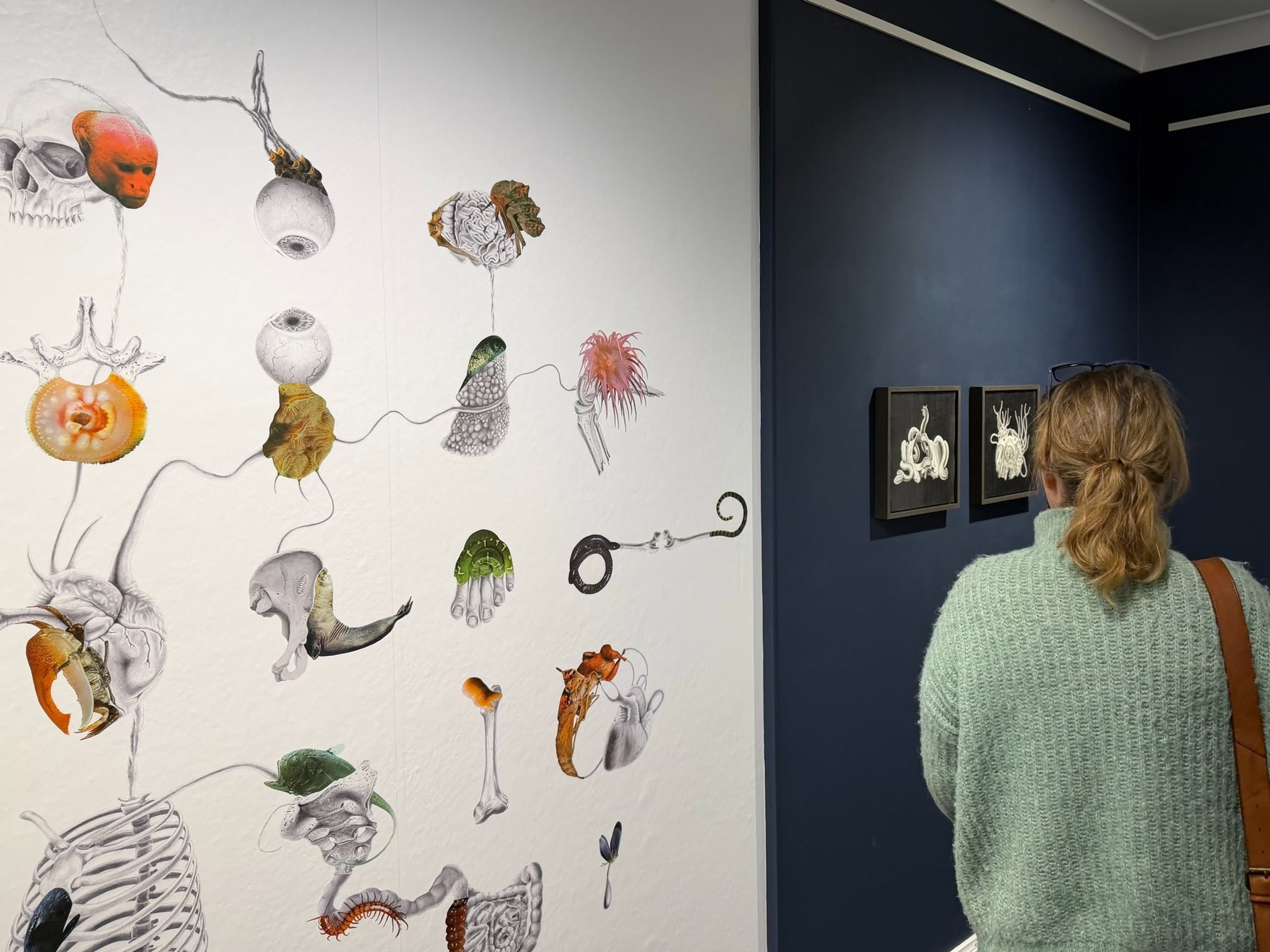 Boneyard Exhibition