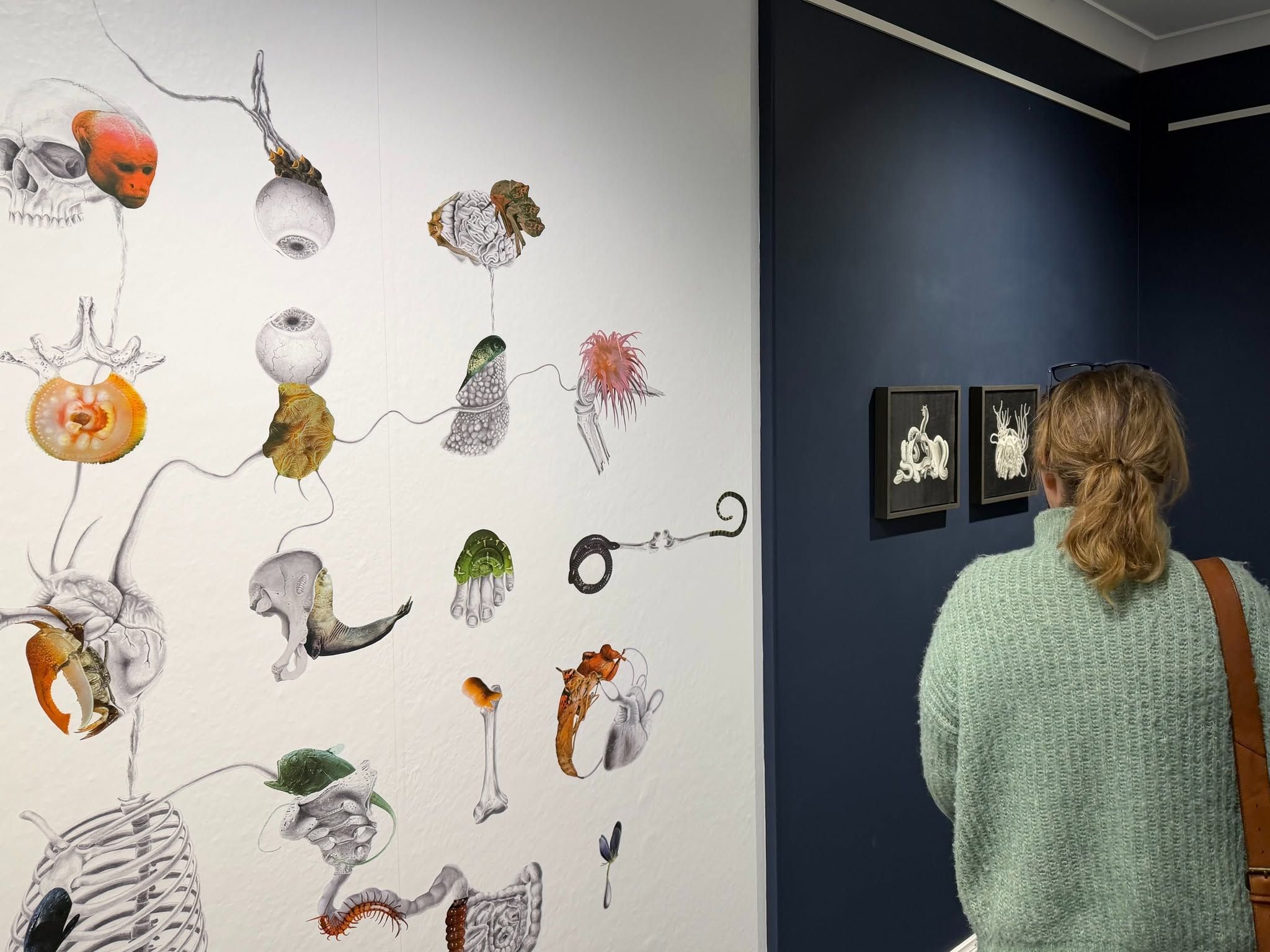 Boneyard Exhibition
