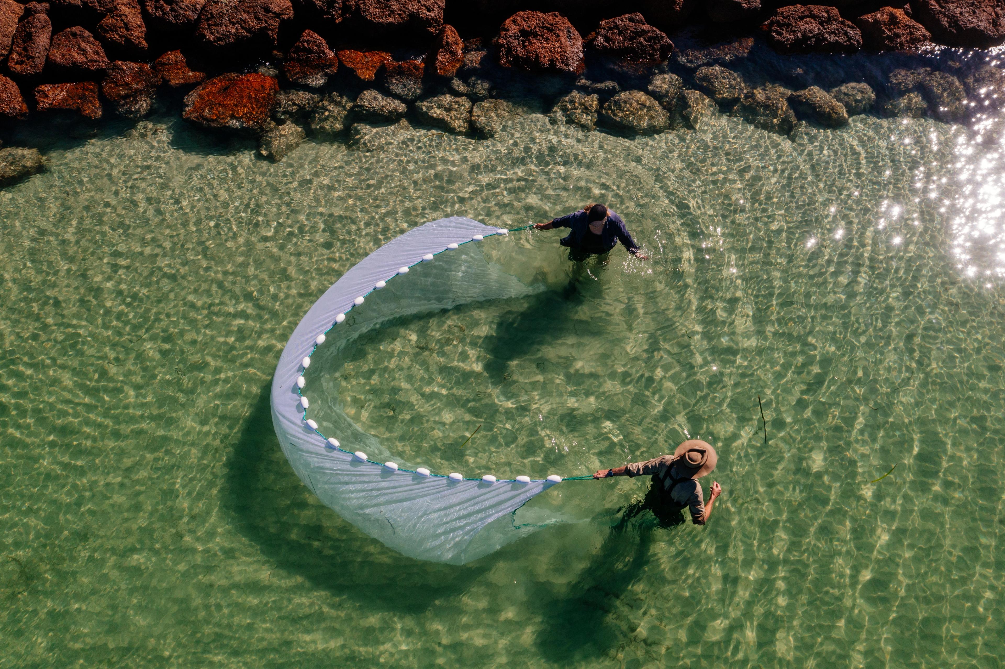 Two people fishing with a large net