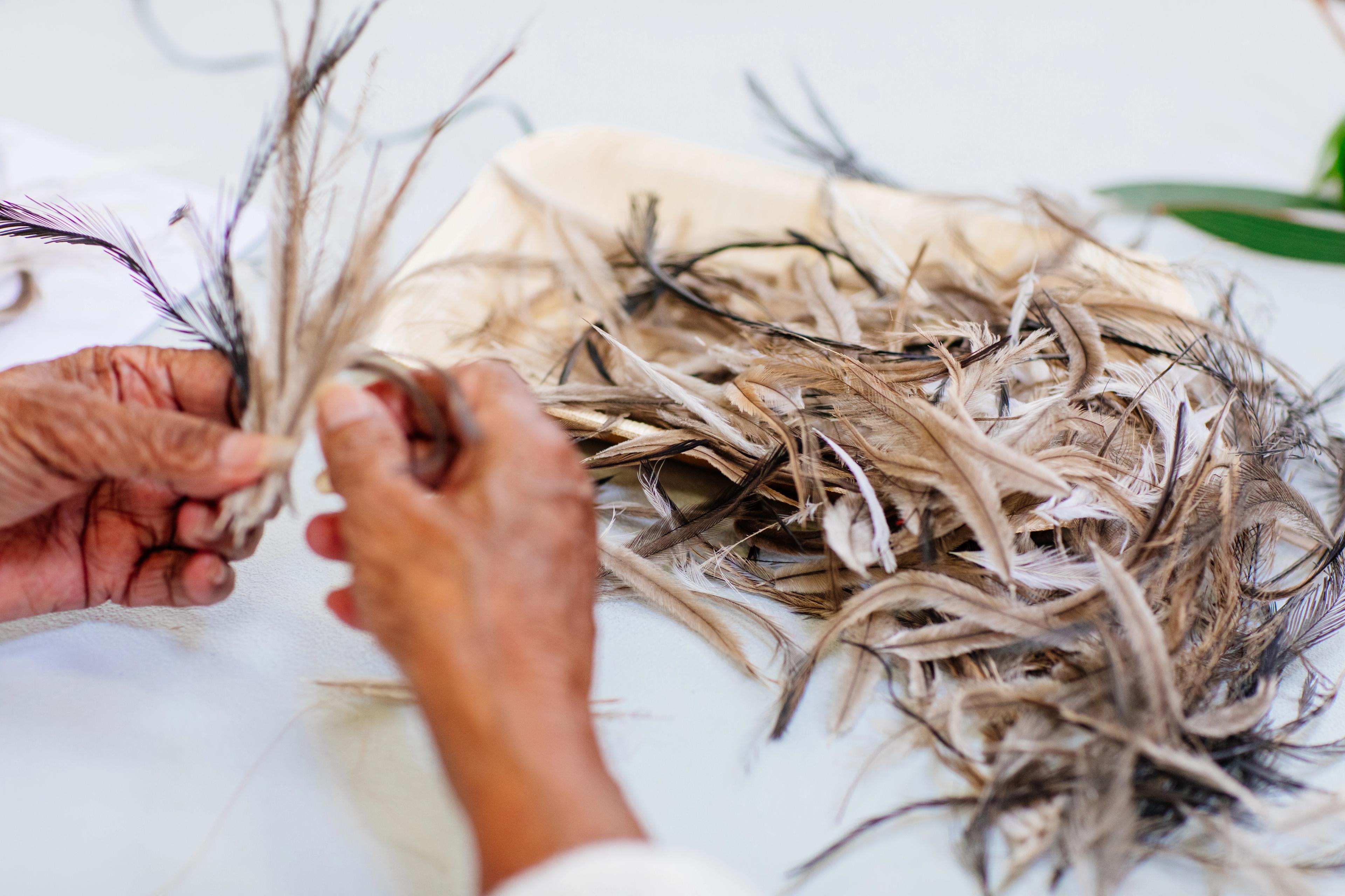 Emu feather workshop.