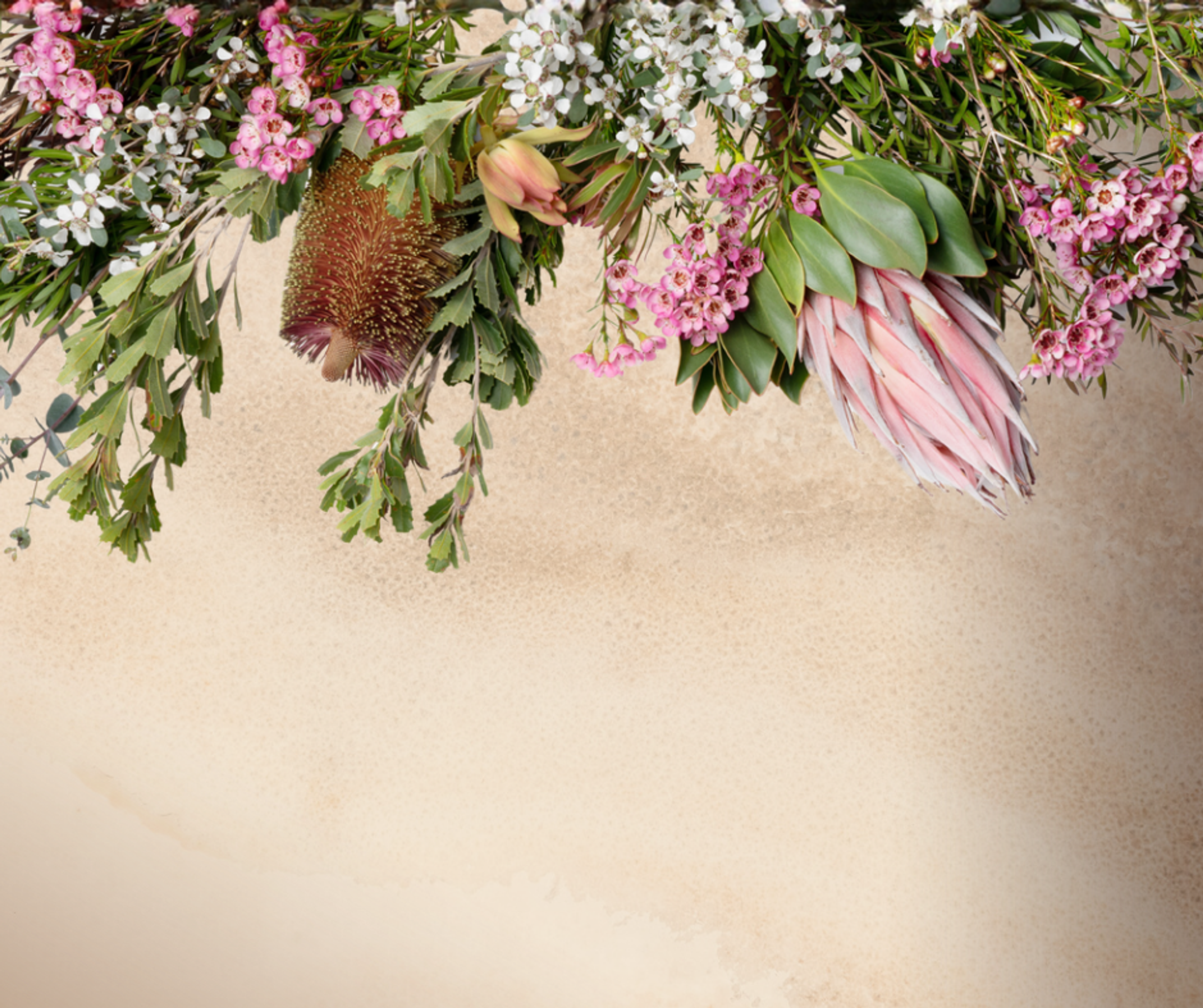 Native flowers and foliage.