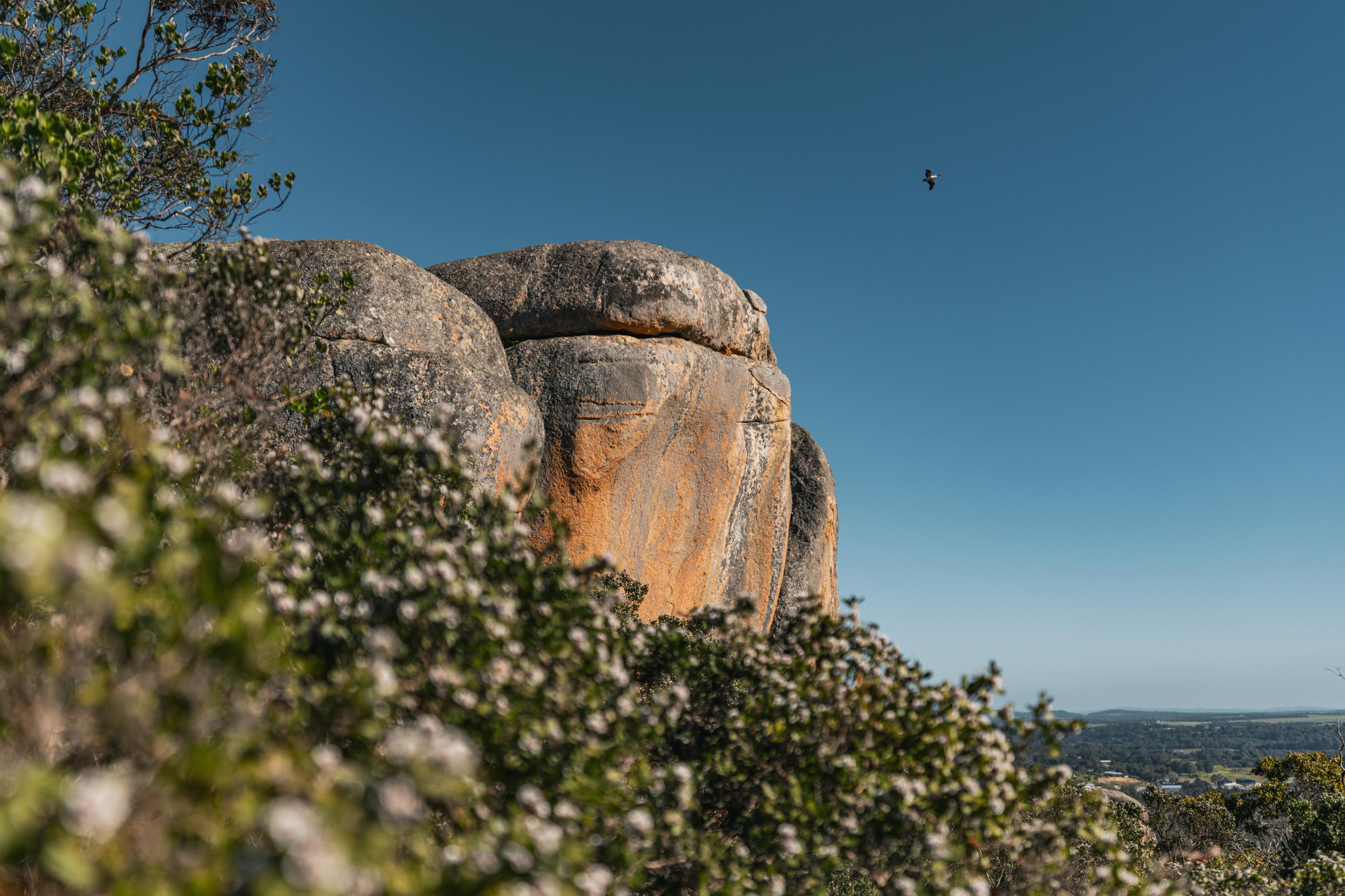 Granite rocks on Mount Melville surrounded by flora. 