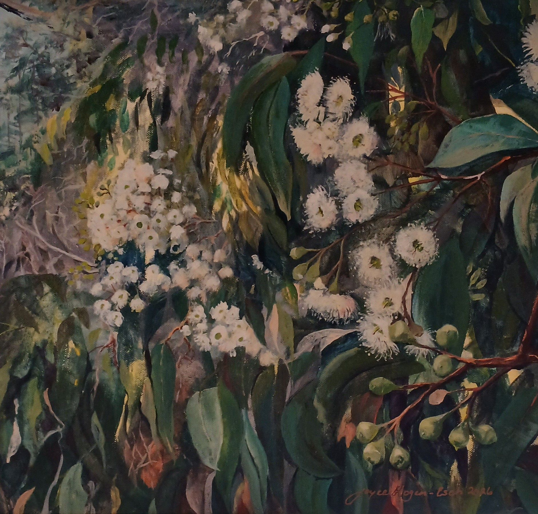 Marri, by Joyce Hogen-Esch