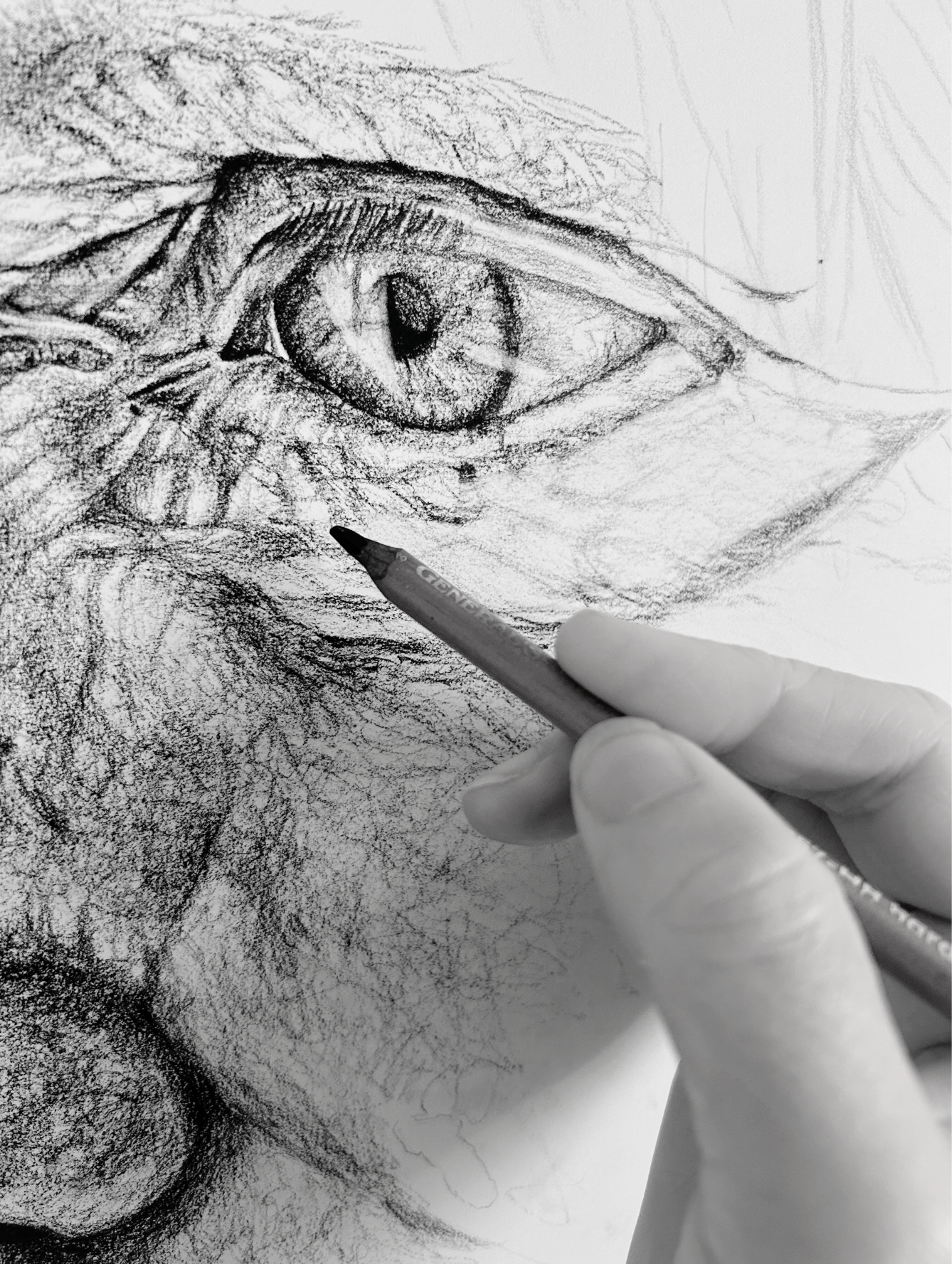 Close up of hand doing charcoal sketch of an eye or face