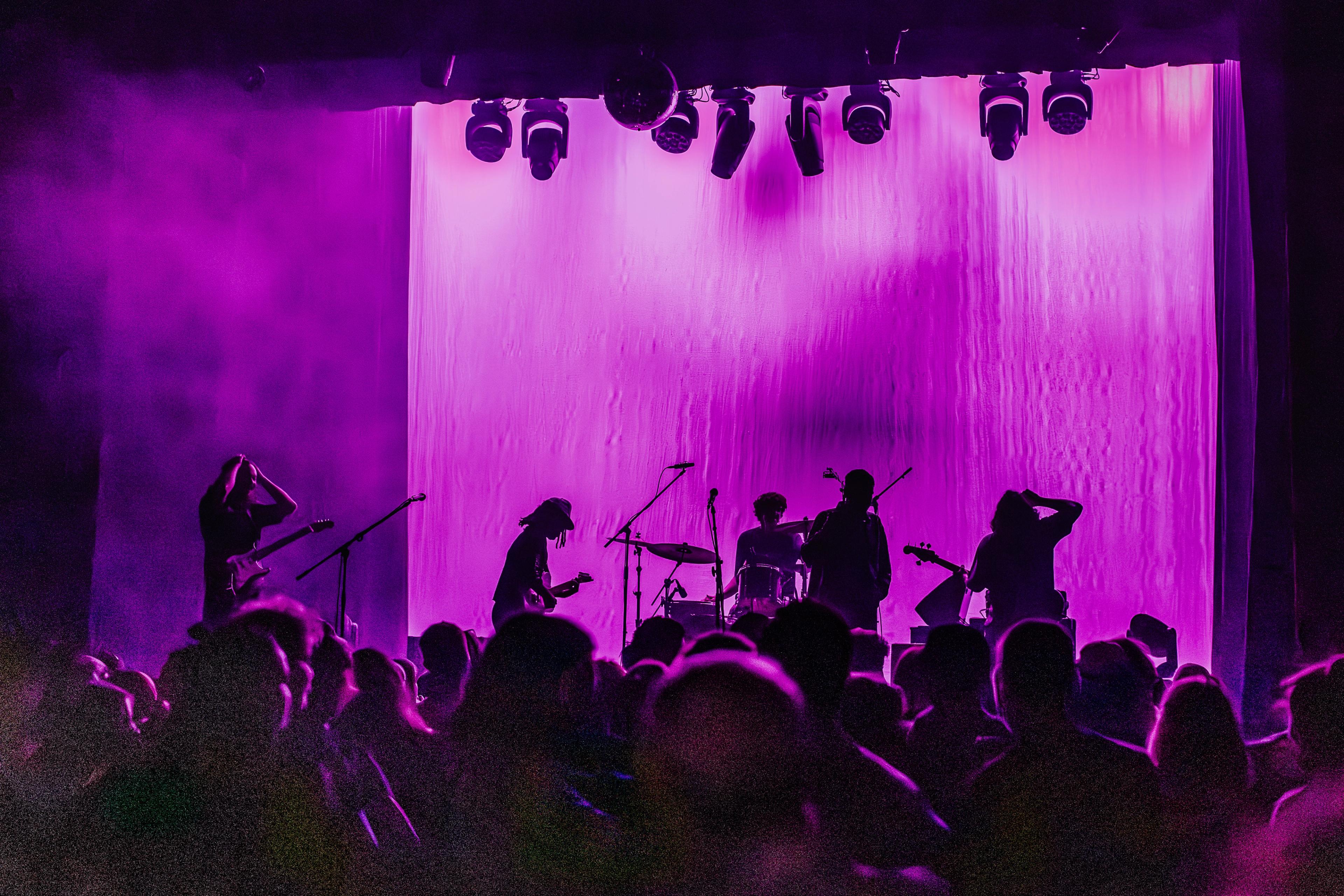Silhouette of a crowd and performers before a purple backdrop