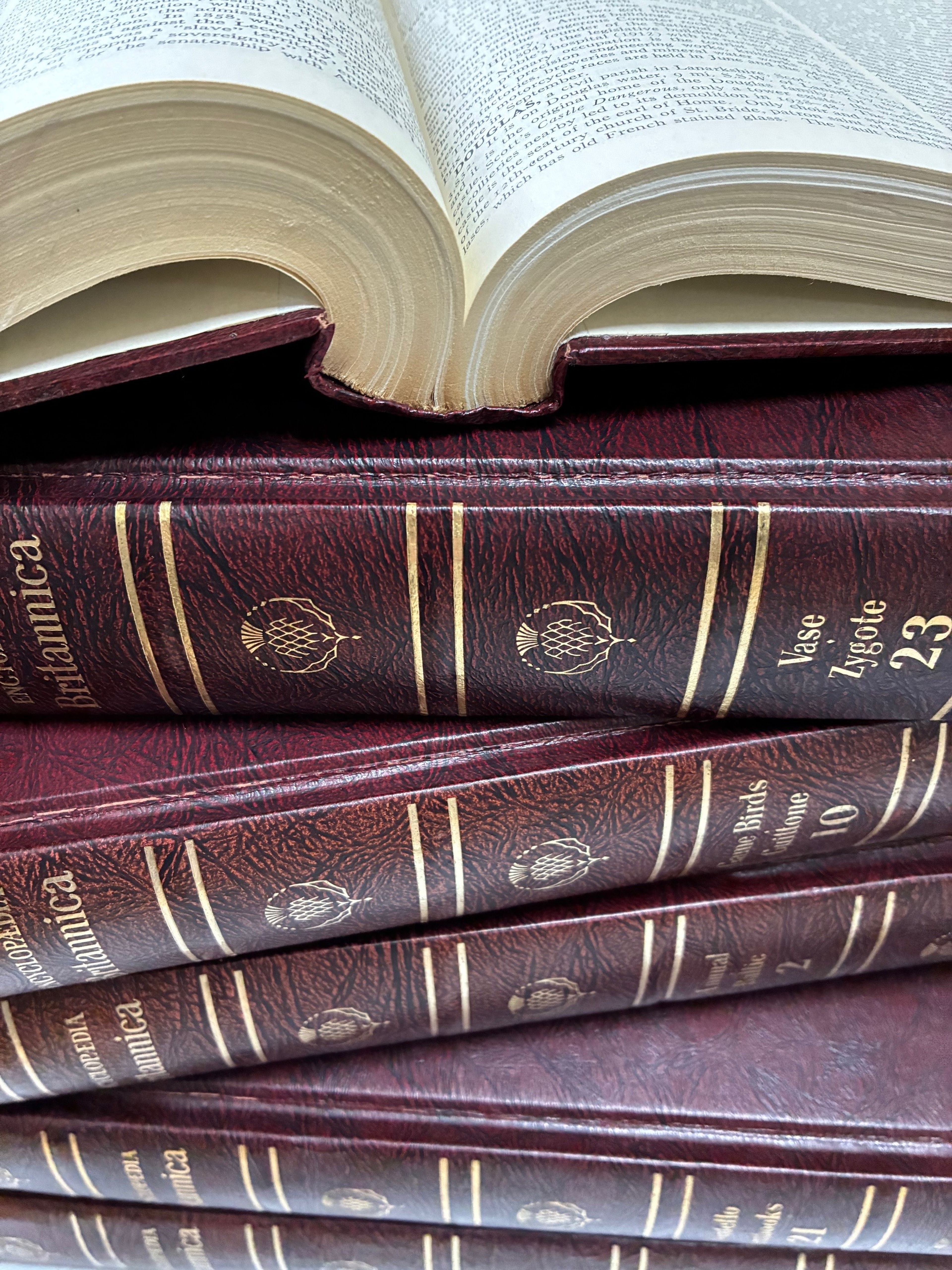 Close-up image of brown hard cover encyclopaedias