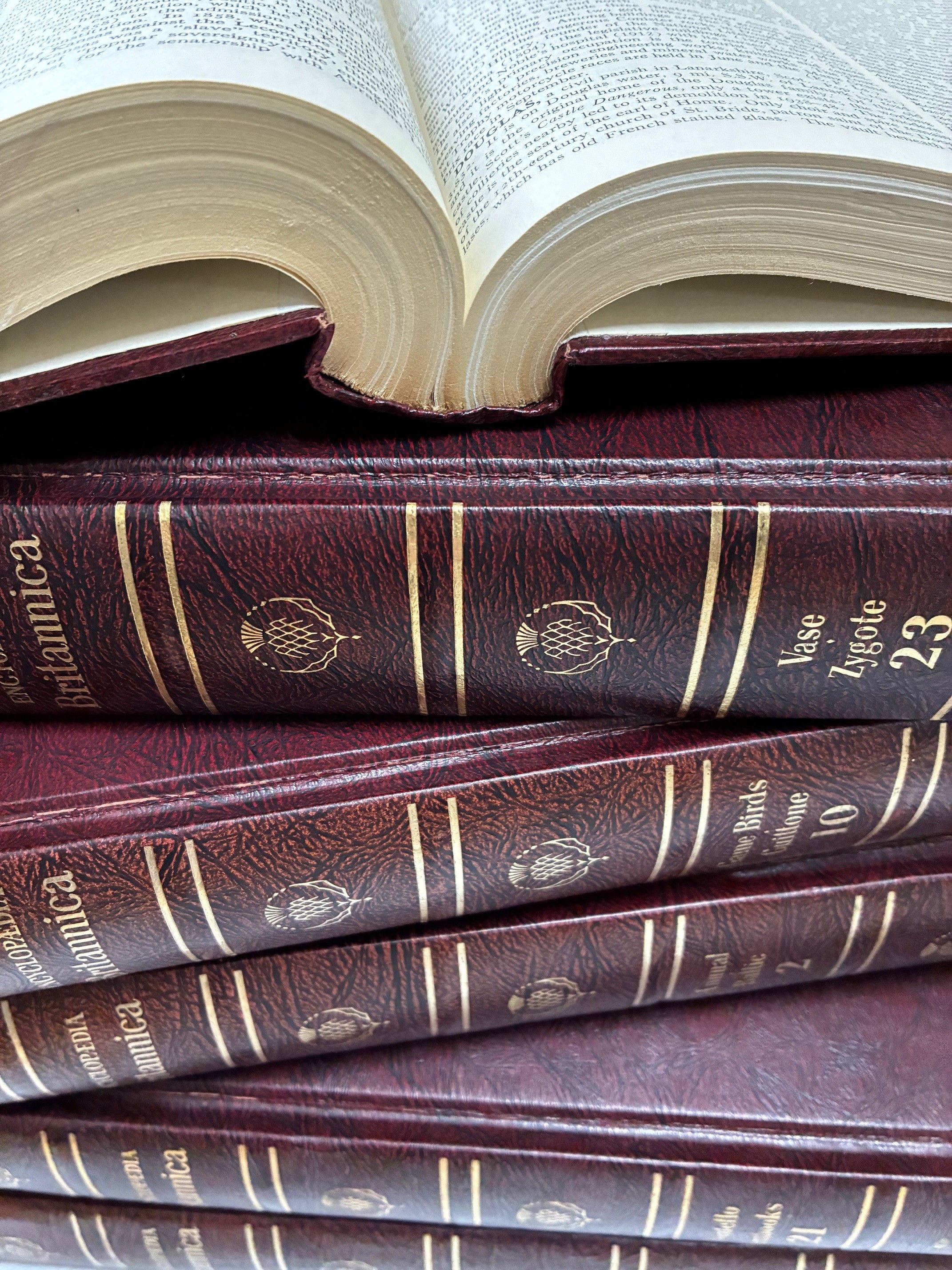 Close-up image of brown hard cover encyclopaedias