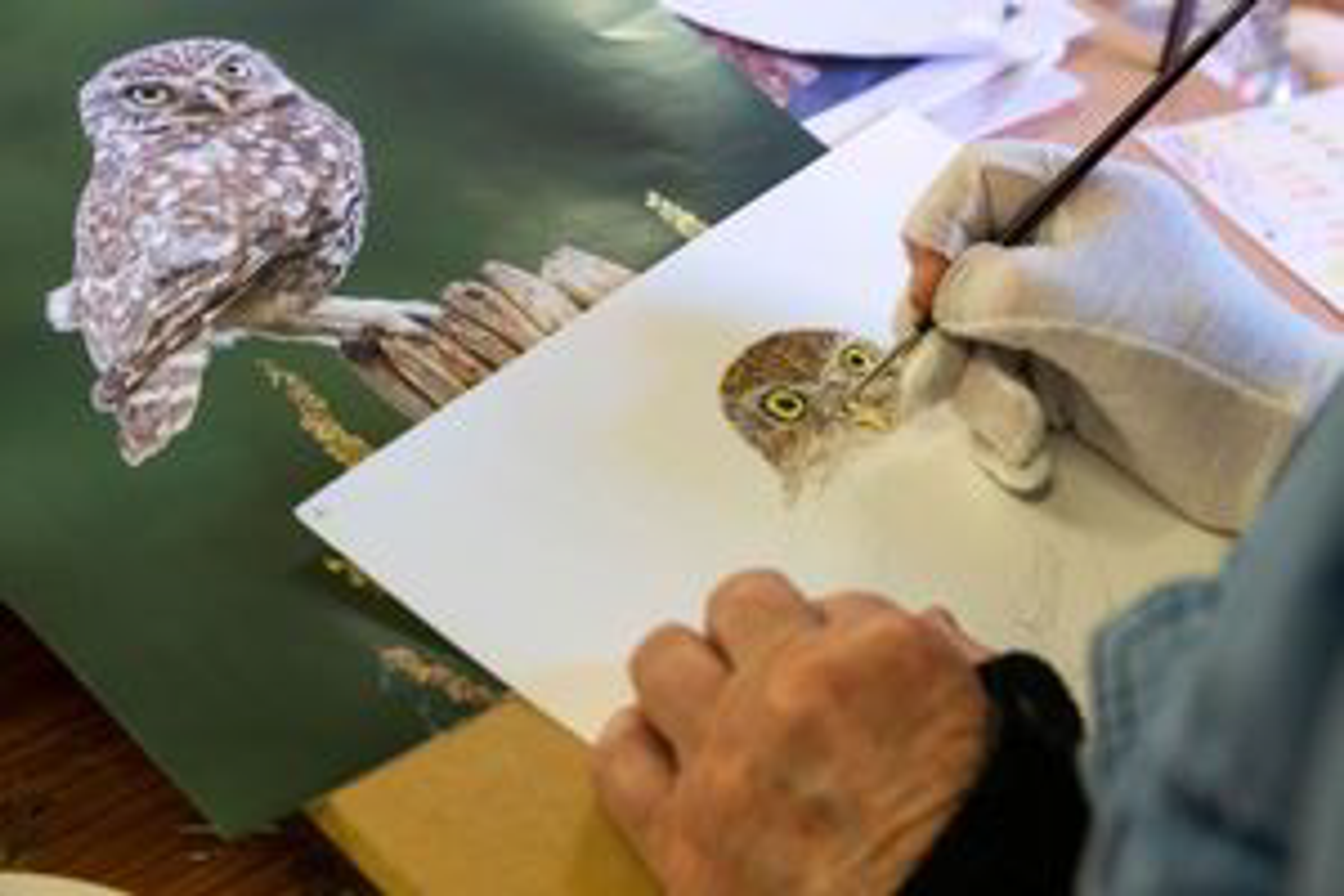 Close-up image of hands painting a picture of an owl