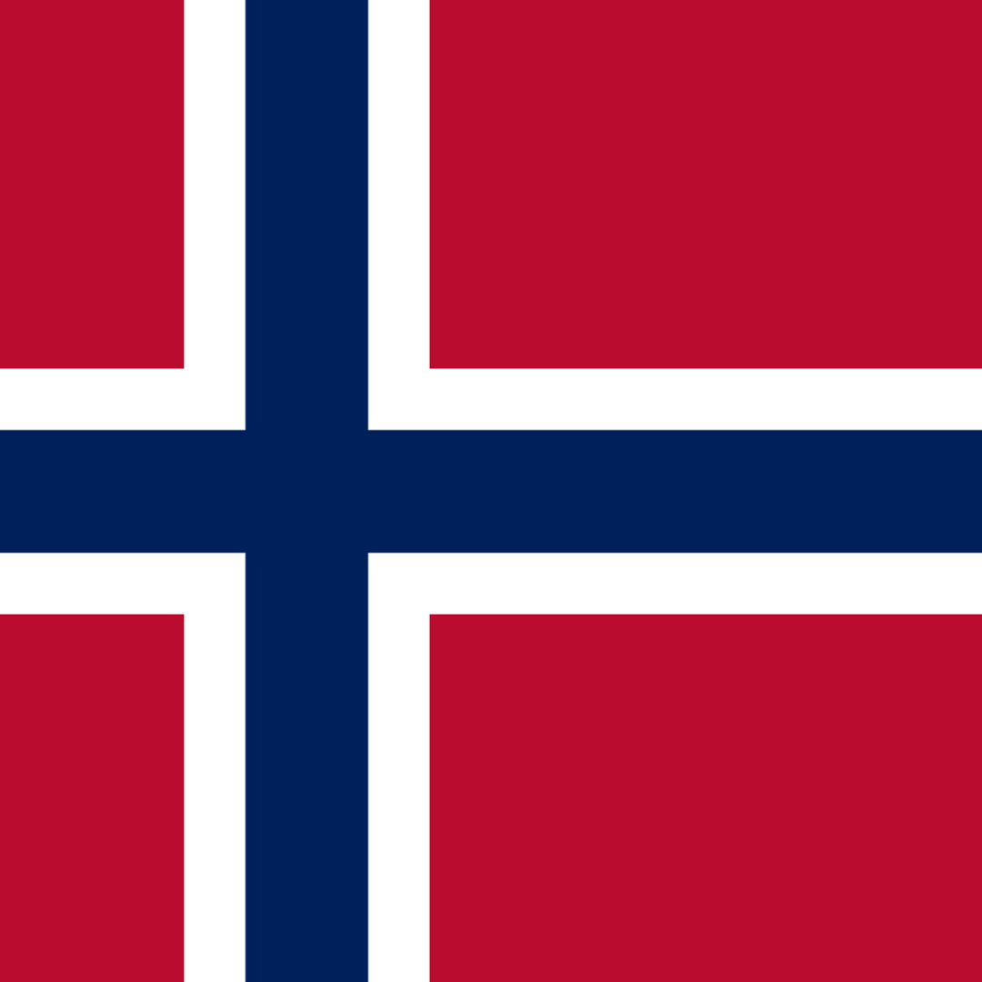 Det norske flagget