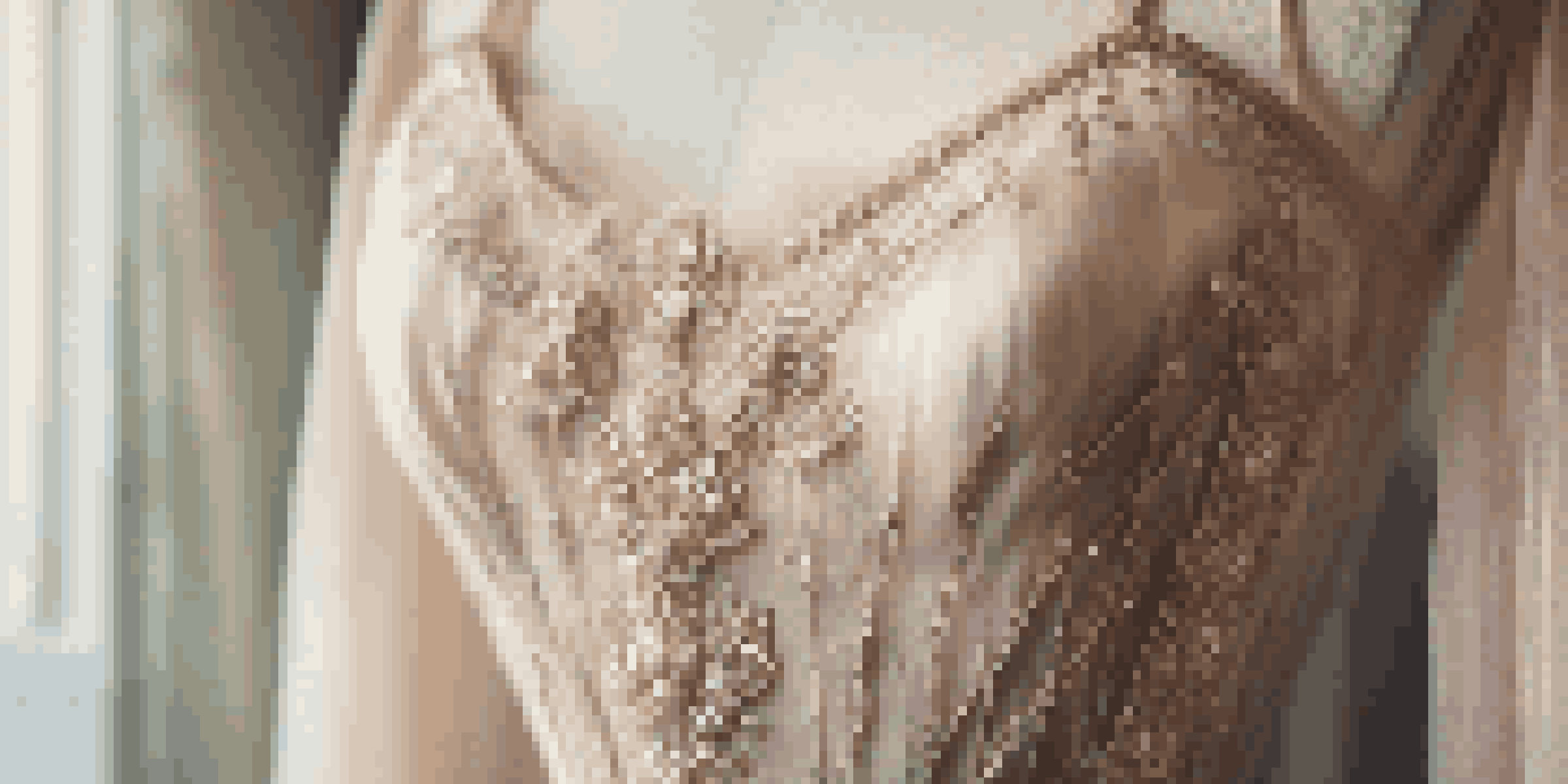 A detailed view of a ballet costume on a mannequin, showcasing intricate embroidery and tulle layers in soft lighting.