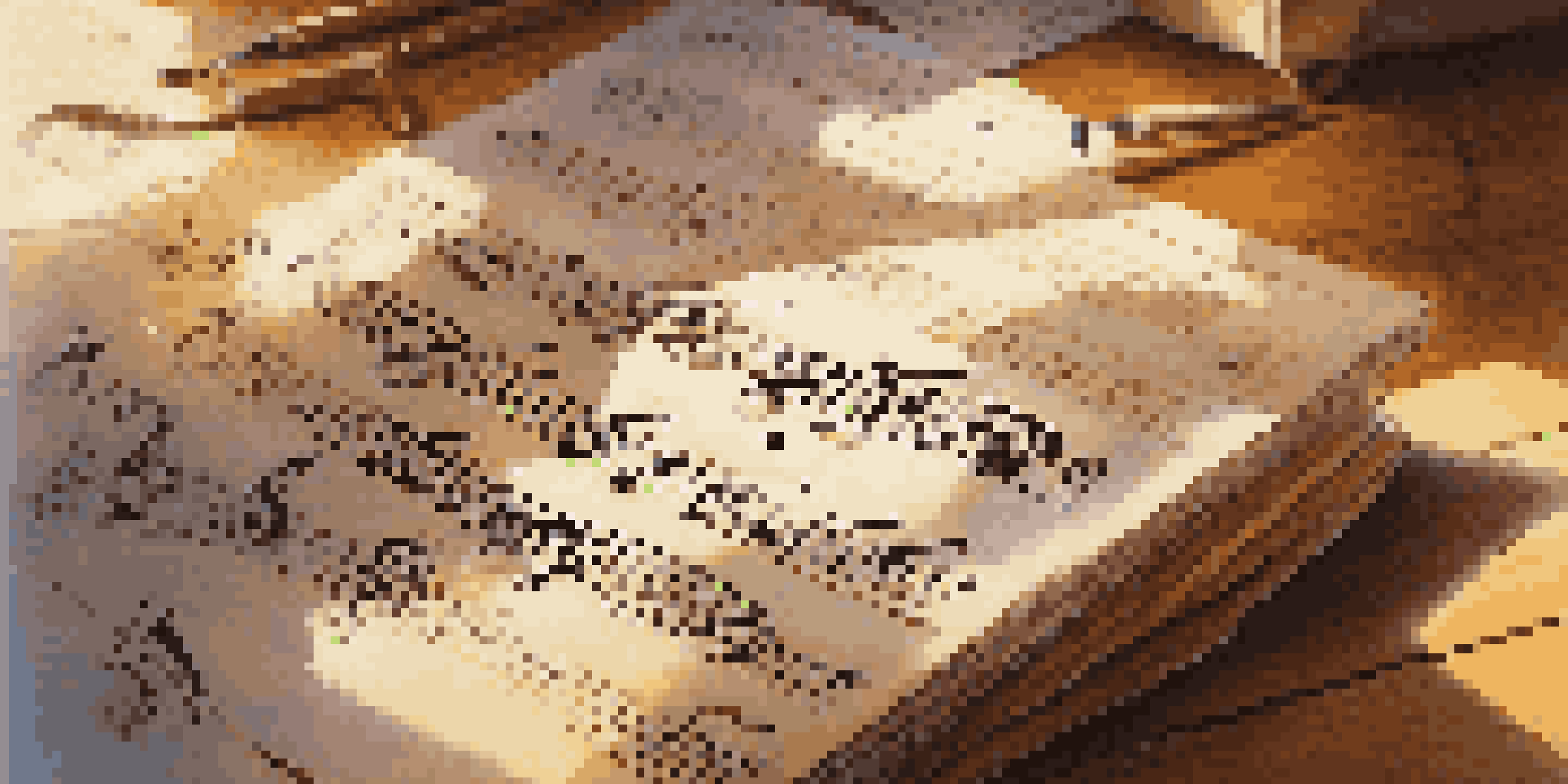 A detailed view of a dance notation score with colorful symbols on a wooden desk, illuminated by soft sunlight.