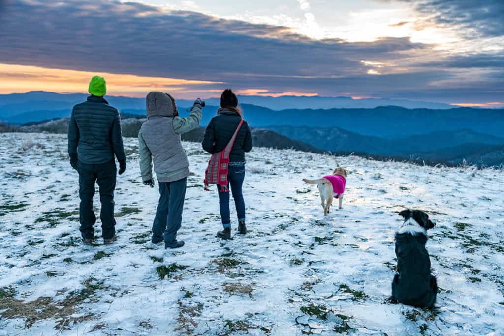 Family and dogs hiking Max Patch during the winter.