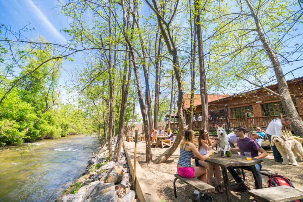 Frog Level dog friendly riverside