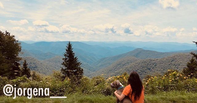Black Balsam Knob