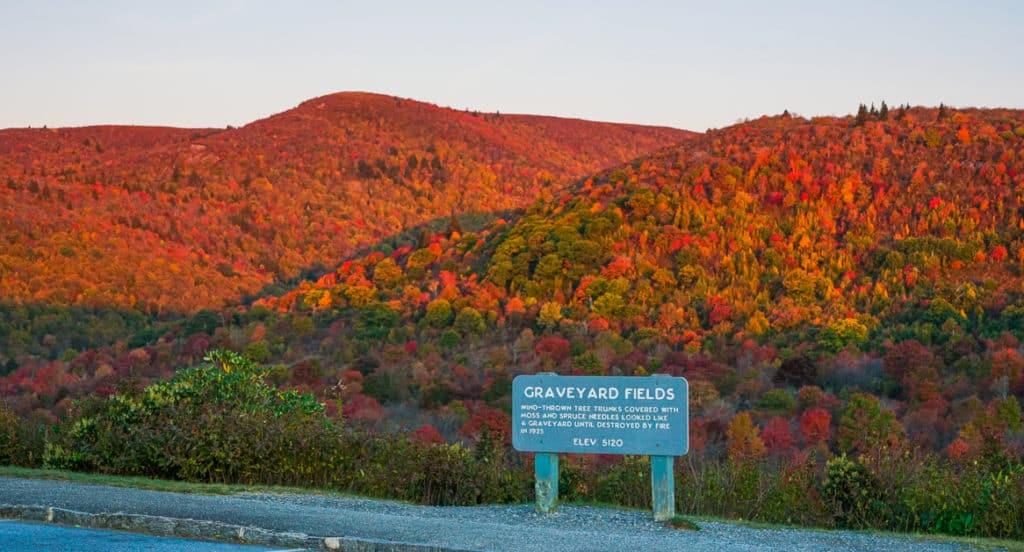 Graveyard Fields and Falls Overlook Hike